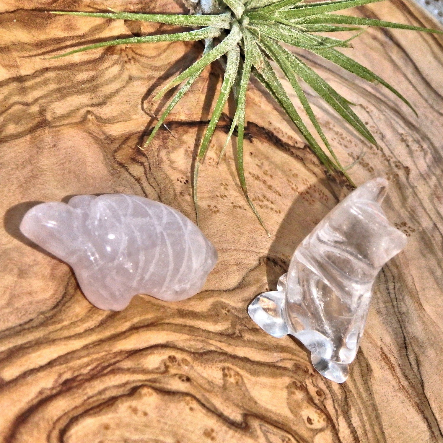  Adorable Rose Quartz Turtle & Owl Clear Quartz Set