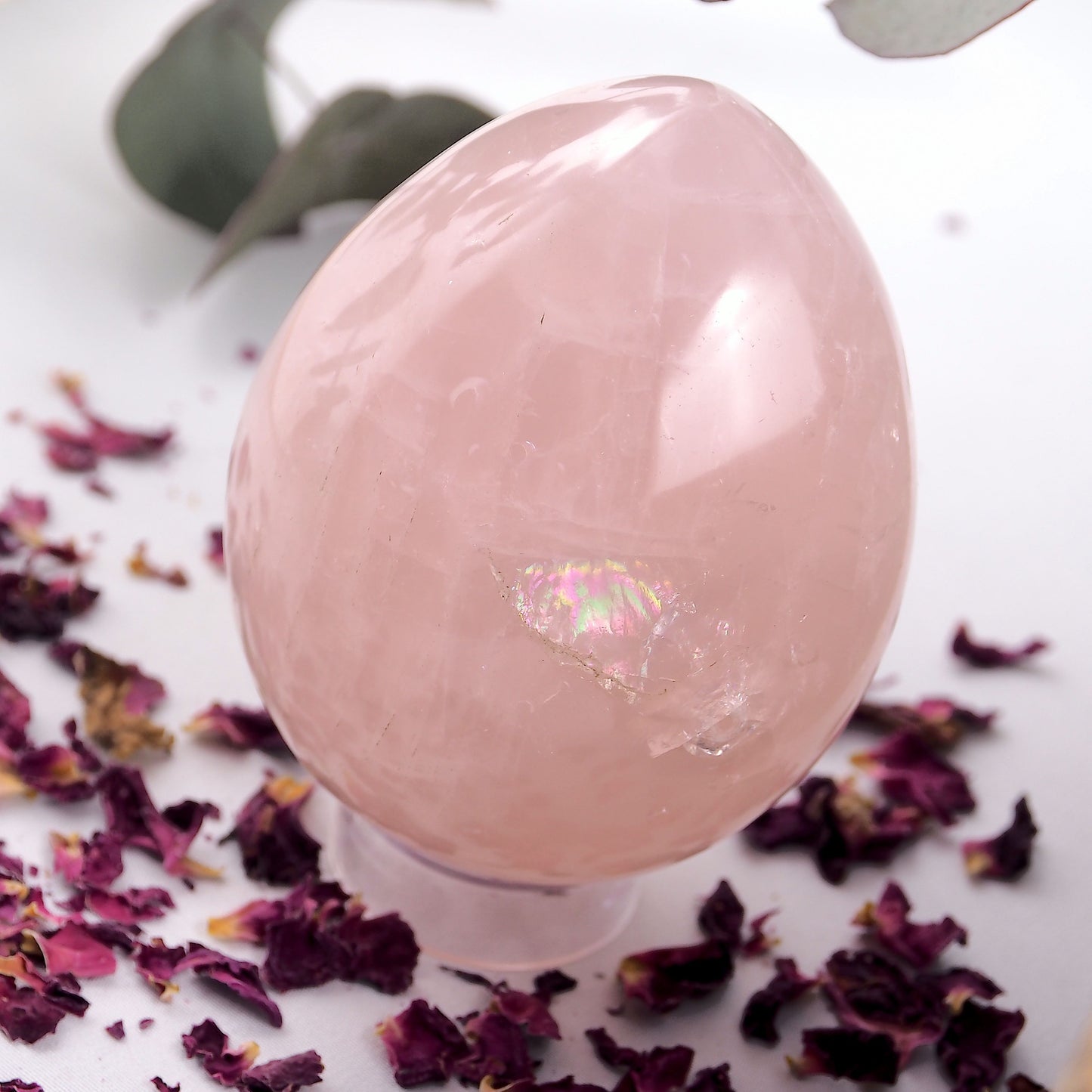 Mesmerizing Rainbow~ Large & Chunky Sweet Pink Rose Quartz Egg Carving - Earth Family Crystals