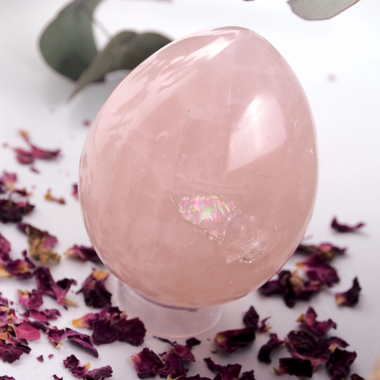 Mesmerizing Rainbow~ Large & Chunky Sweet Pink Rose Quartz Egg Carving - Earth Family Crystals