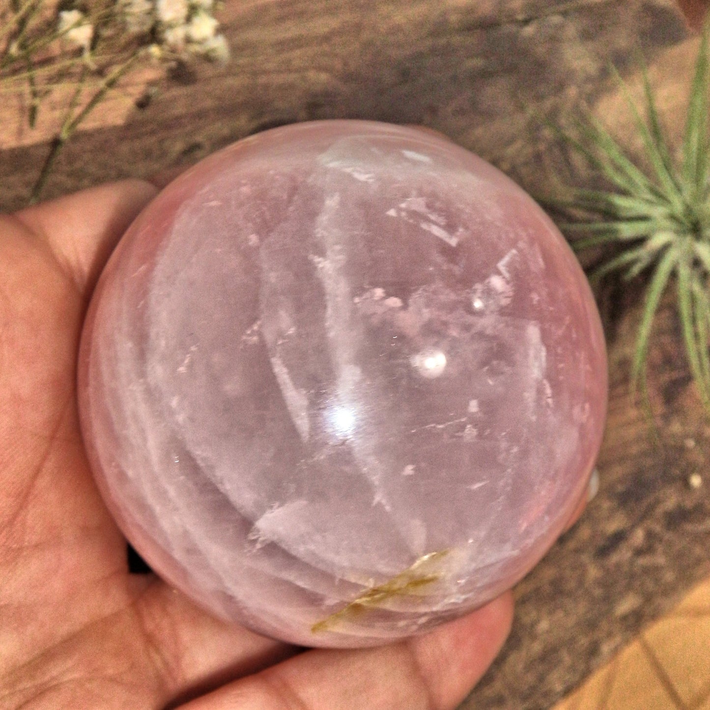 Heart Chakra Healer Rose Quartz Shiny Polished Sphere - Earth Family Crystals