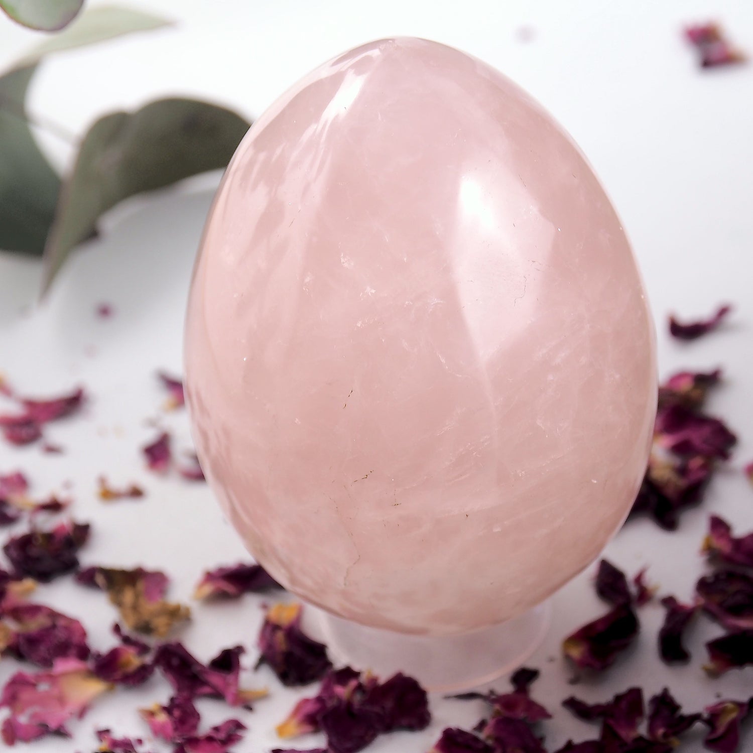 Mesmerizing Rainbow~ Large & Chunky Sweet Pink Rose Quartz Egg Carving - Earth Family Crystals