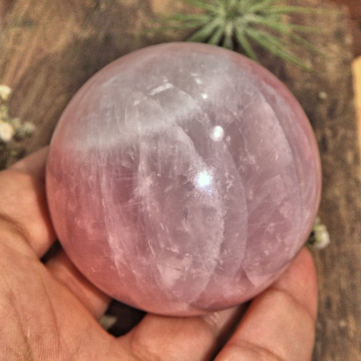 Heart Chakra Healer Rose Quartz Shiny Polished Sphere - Earth Family Crystals
