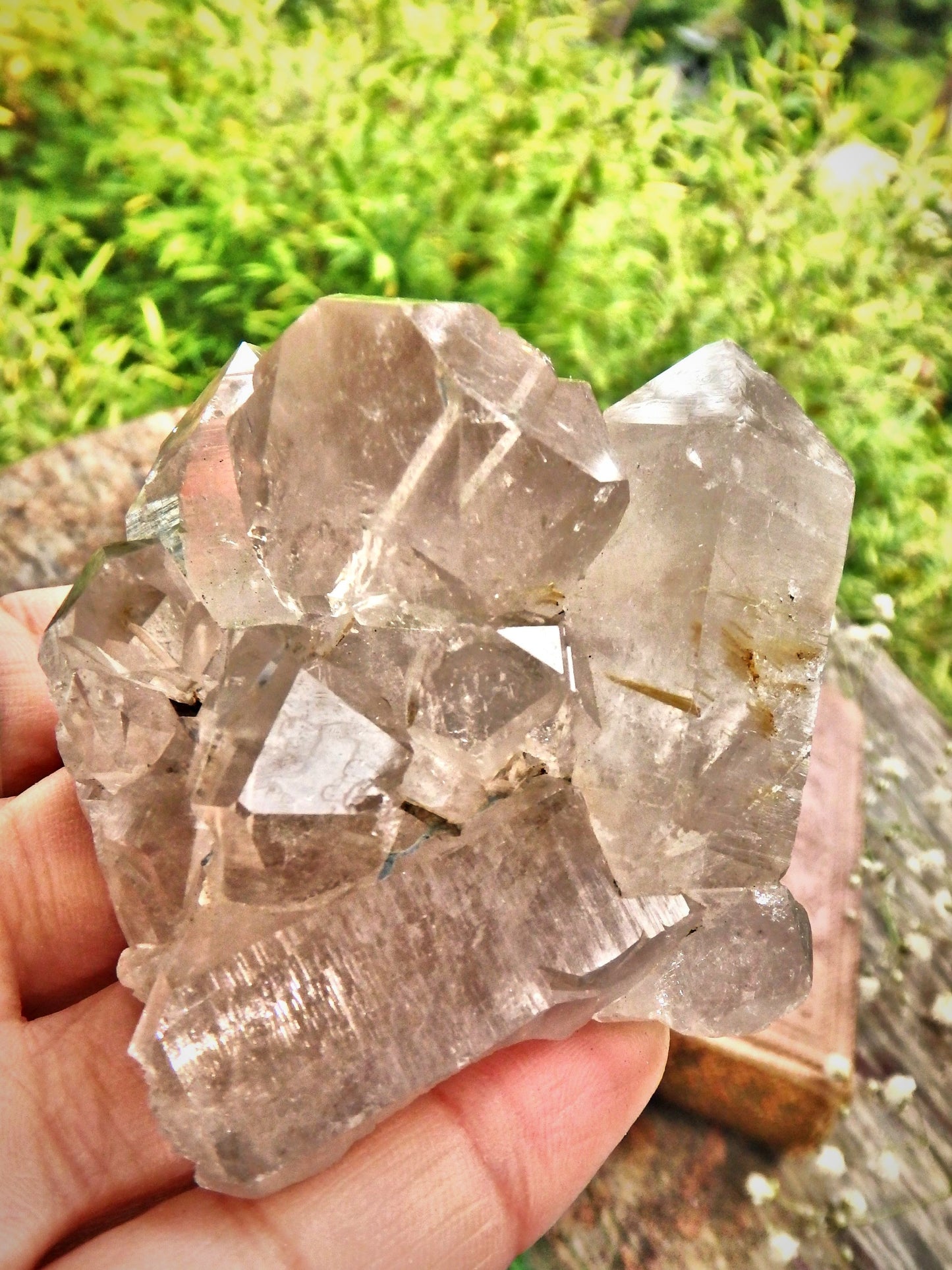 Incredible Rutilated Quartz Slightly Smoky Quartz Elestial Cluster From Brazil - Metiz Tier Price
