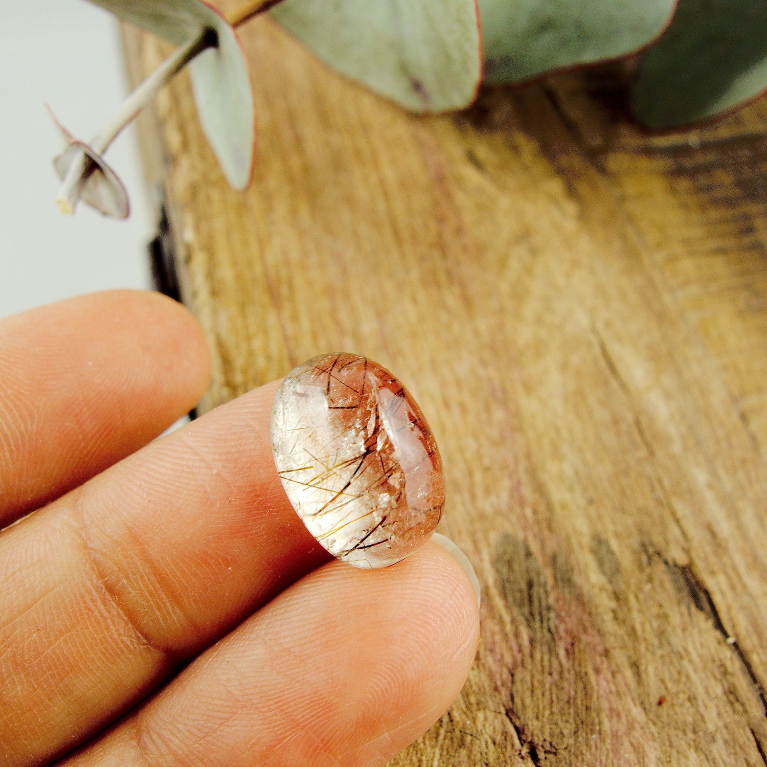  Copper Rutilated Quartz Threads Cabochon in Collectors Box~Ideal for Crafting