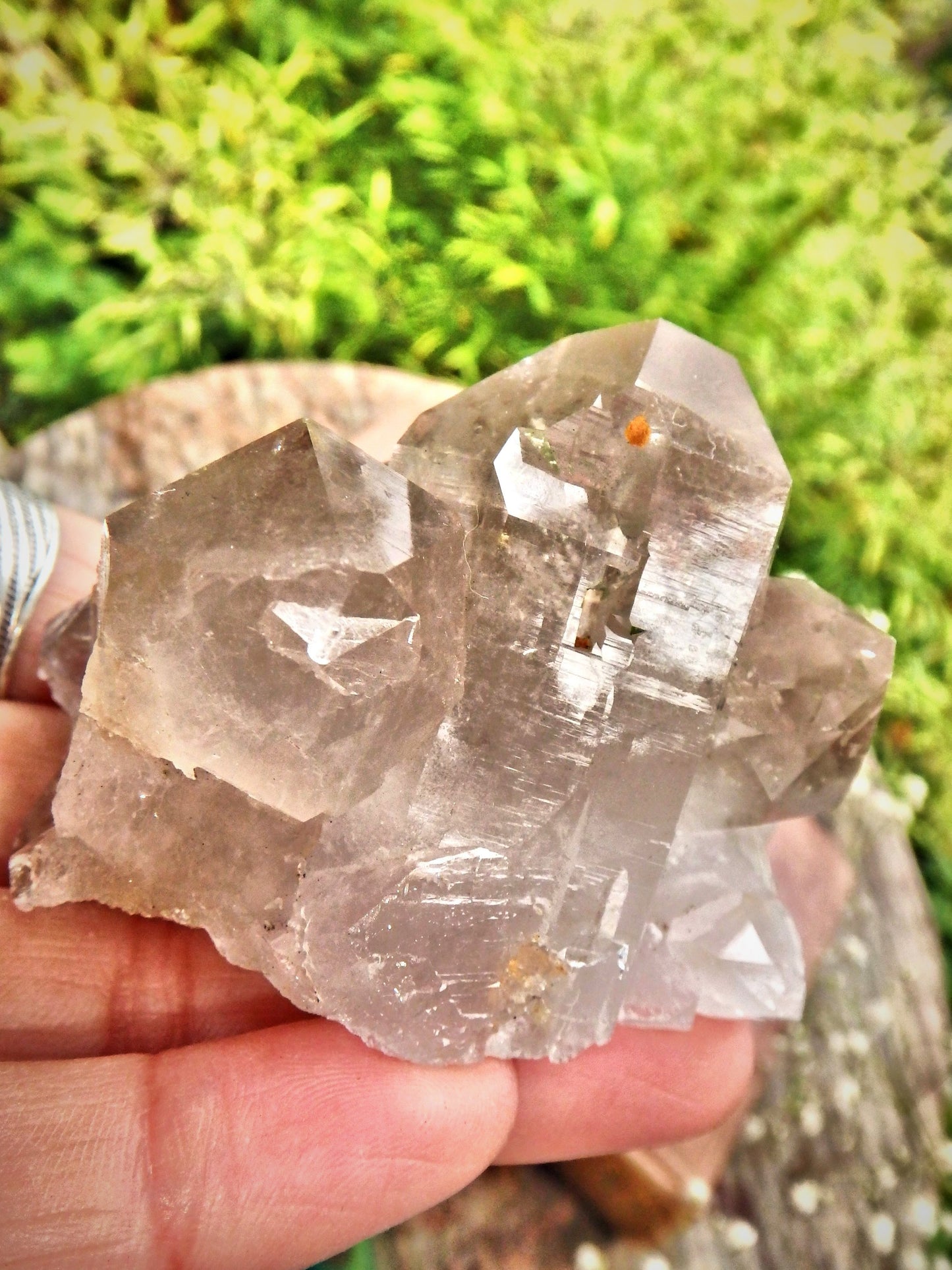 Incredible Rutilated Quartz Slightly Smoky Quartz Elestial Cluster From Brazil - Metiz Tier Price