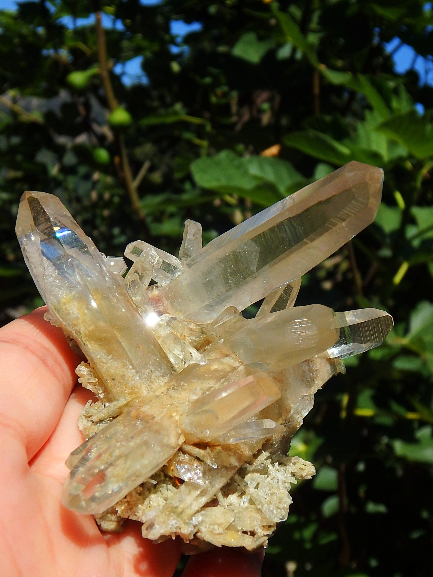 Incredible Phantom Included Points Samadhi Himalayan Quartz Specimen From India - Metiz Tier Price