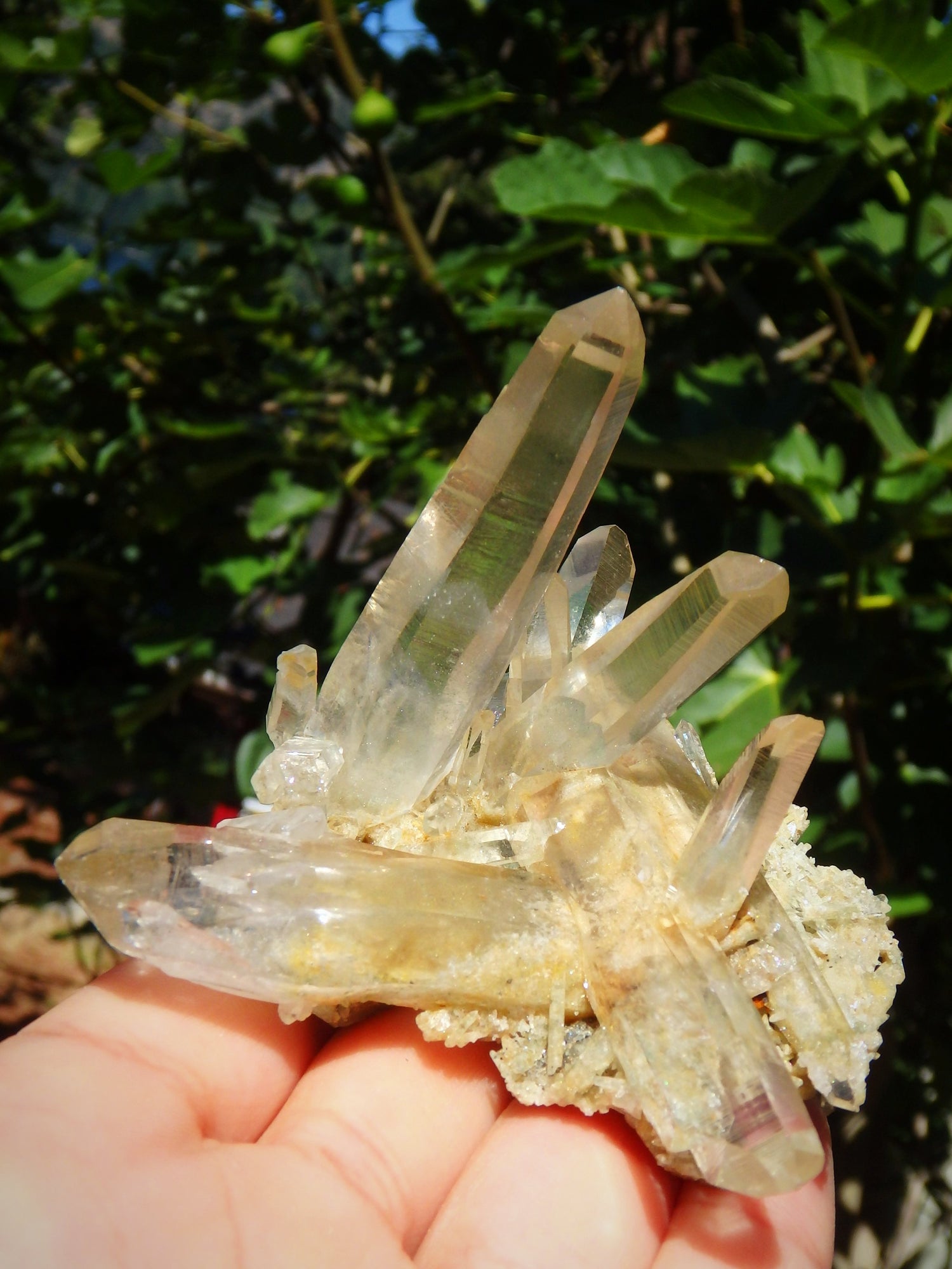 Incredible Phantom Included Points Samadhi Himalayan Quartz Specimen From India - Metiz Tier Price