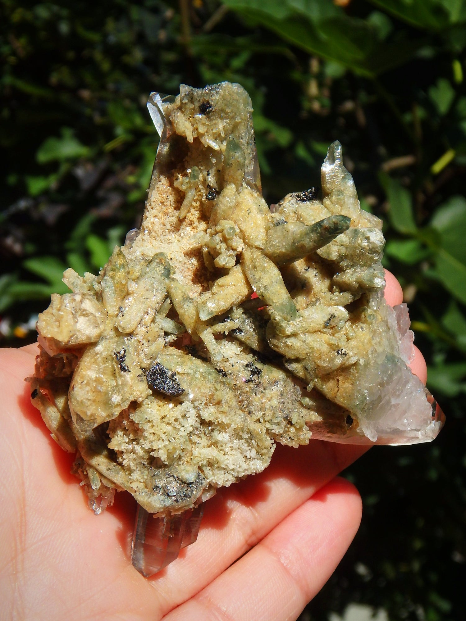Incredible Phantom Included Points Samadhi Himalayan Quartz Specimen From India - Metiz Tier Price