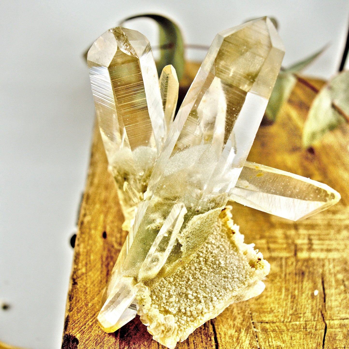  AA Grade Fabulous Phantom Included Green Samadhi Quartz DT Elestial Cluster From The Himalayas