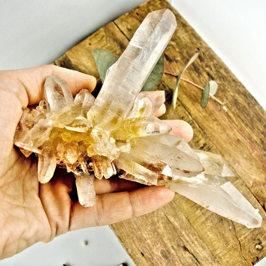  AA Grade Incredible Large Pink & Golden DT Elestial Samadhi Quartz Cluster From The Himalayas