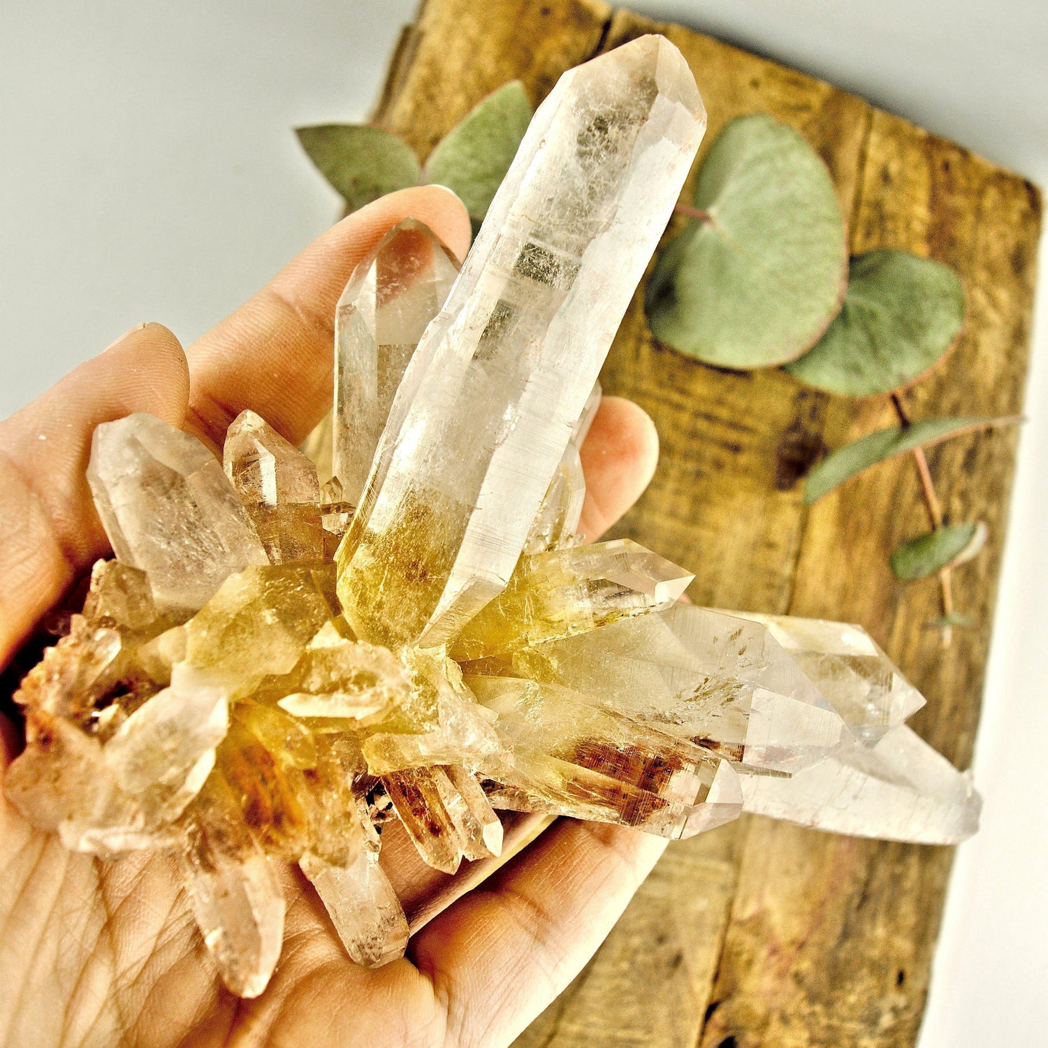  AA Grade Incredible Large Pink & Golden DT Elestial Samadhi Quartz Cluster From The Himalayas