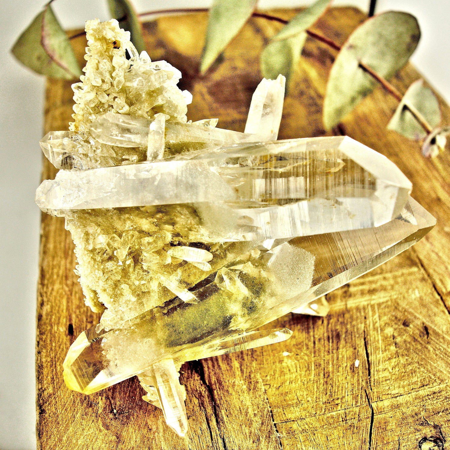  AA Grade Fabulous Phantom Included Green Samadhi Quartz DT Elestial Cluster From The Himalayas
