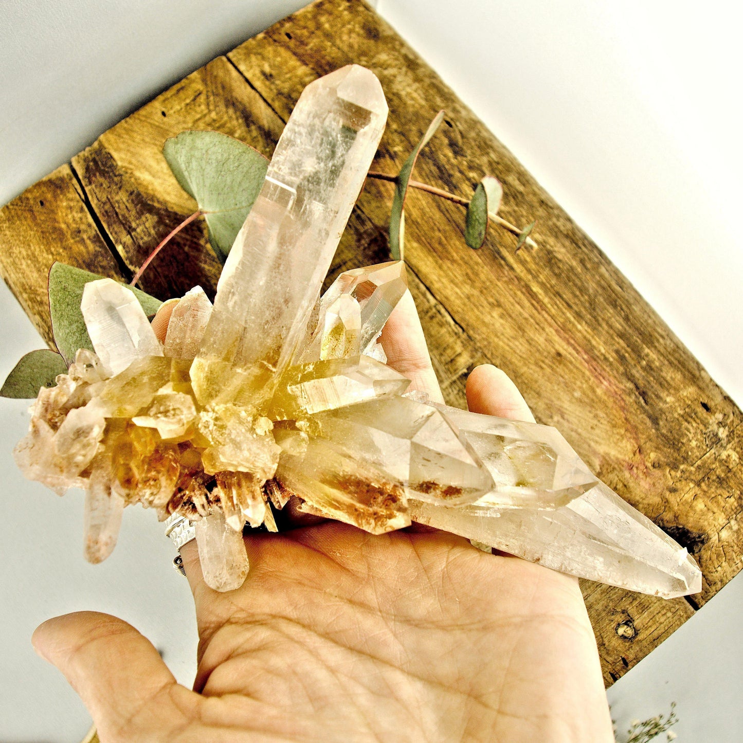  AA Grade Incredible Large Pink & Golden DT Elestial Samadhi Quartz Cluster From The Himalayas