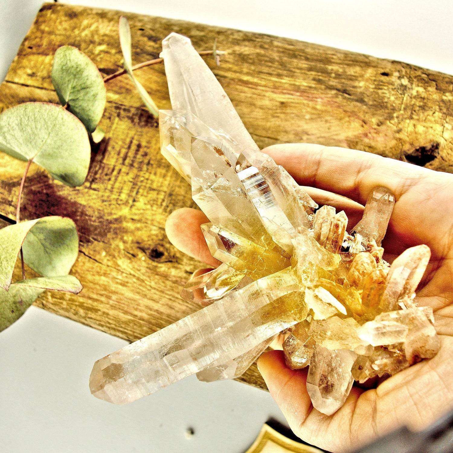  AA Grade Incredible Large Pink & Golden DT Elestial Samadhi Quartz Cluster From The Himalayas