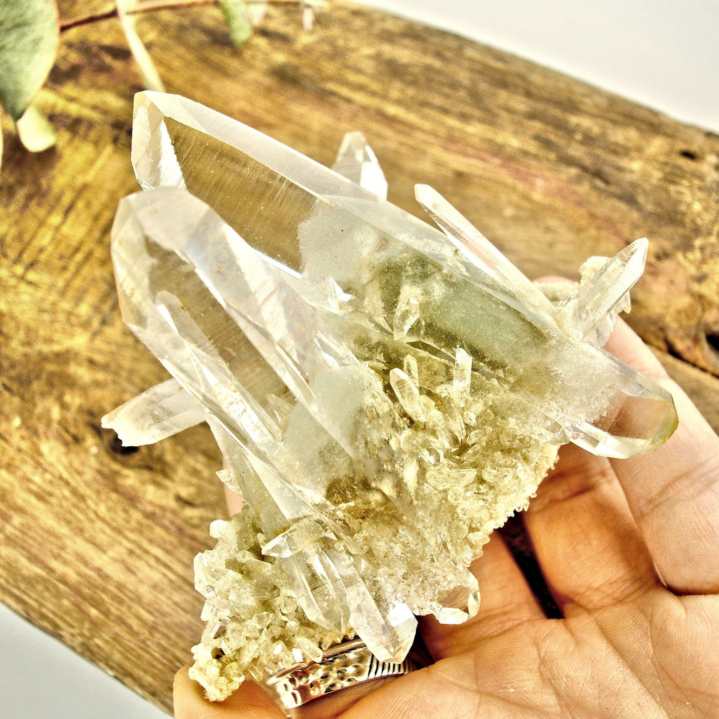  AA Grade Fabulous Phantom Included Green Samadhi Quartz DT Elestial Cluster From The Himalayas