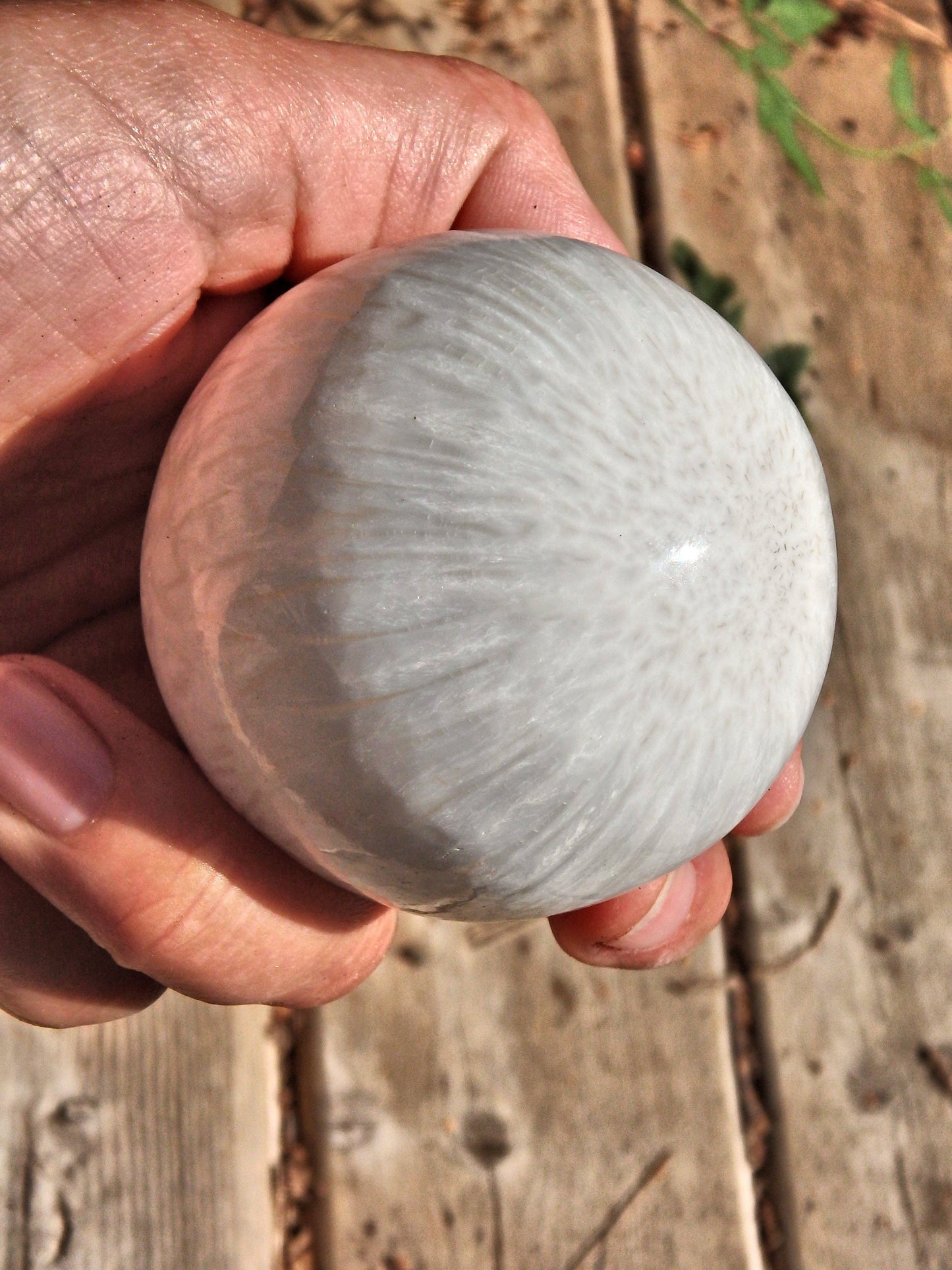  Blooming Silky White Flower Pattern Scolecite Sphere Carving