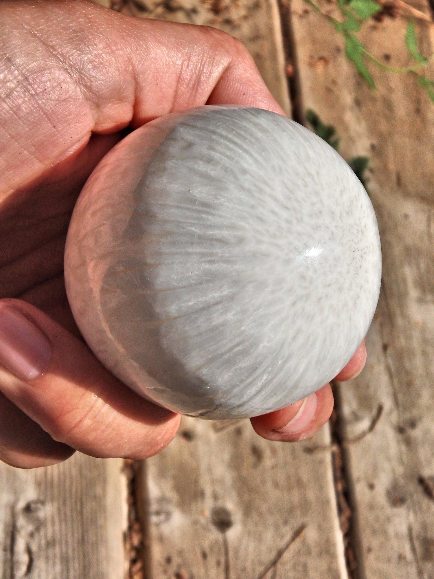  Blooming Silky White Flower Pattern Scolecite Sphere Carving