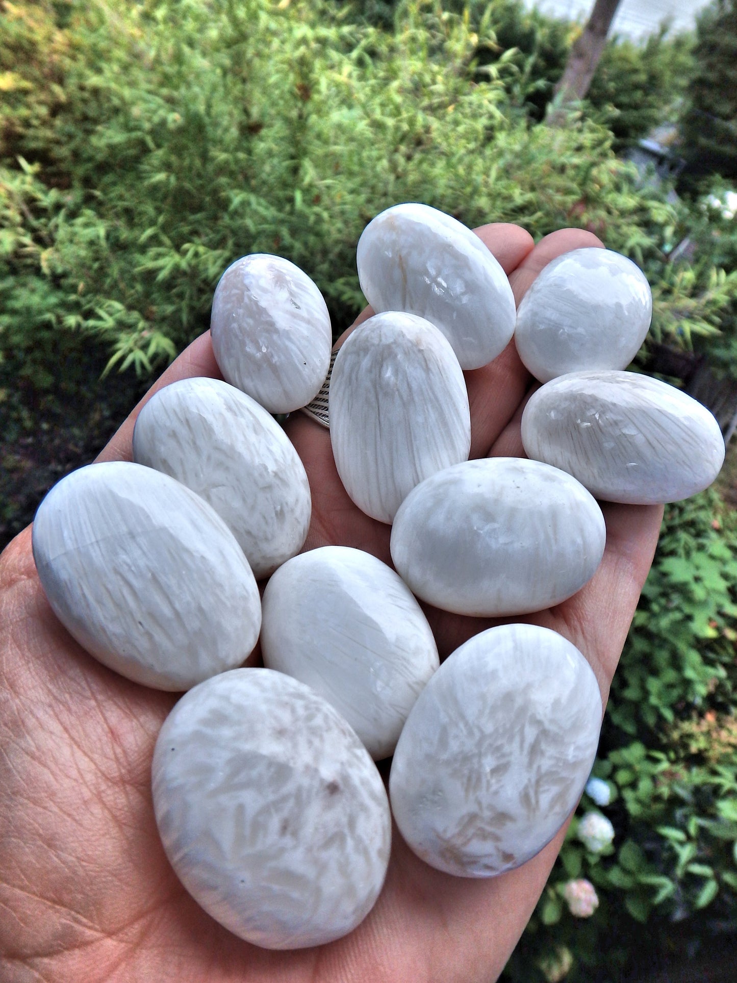 Set of 2 Silky White Scolecite Tumbled Pocket Stones - Metiz Tier Price