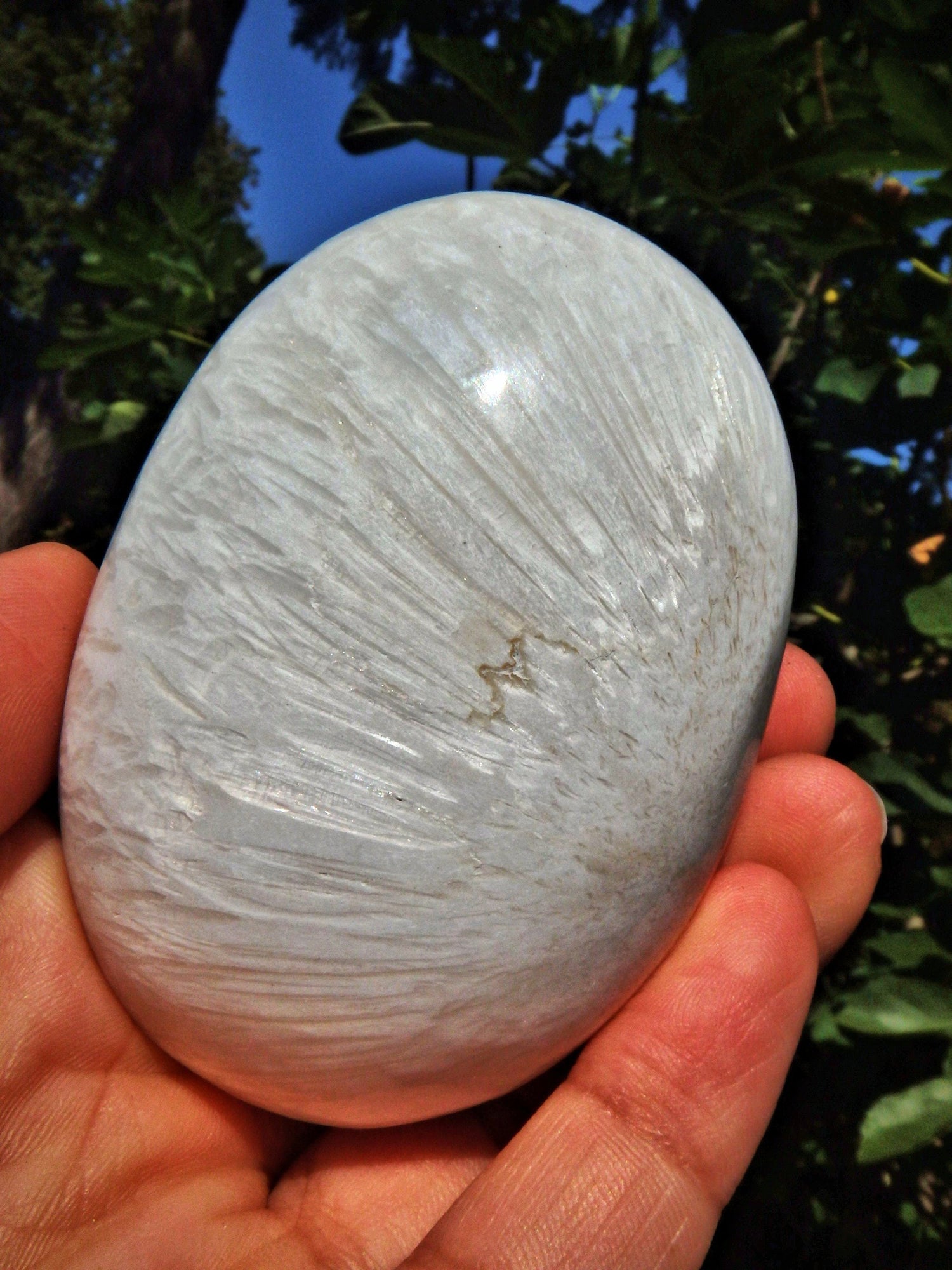  Blooming Flower Pattern Scolecite Polished Specimen 1