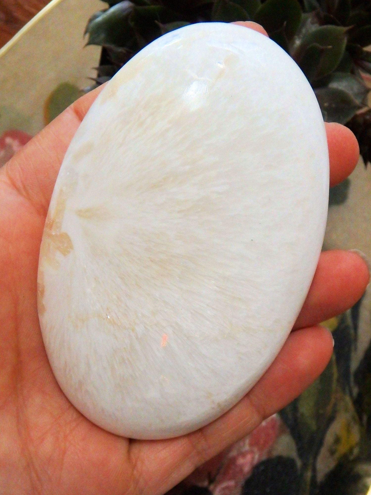  Blooming Flower Pattern Polished Scolecite Oval Palm Stone From India