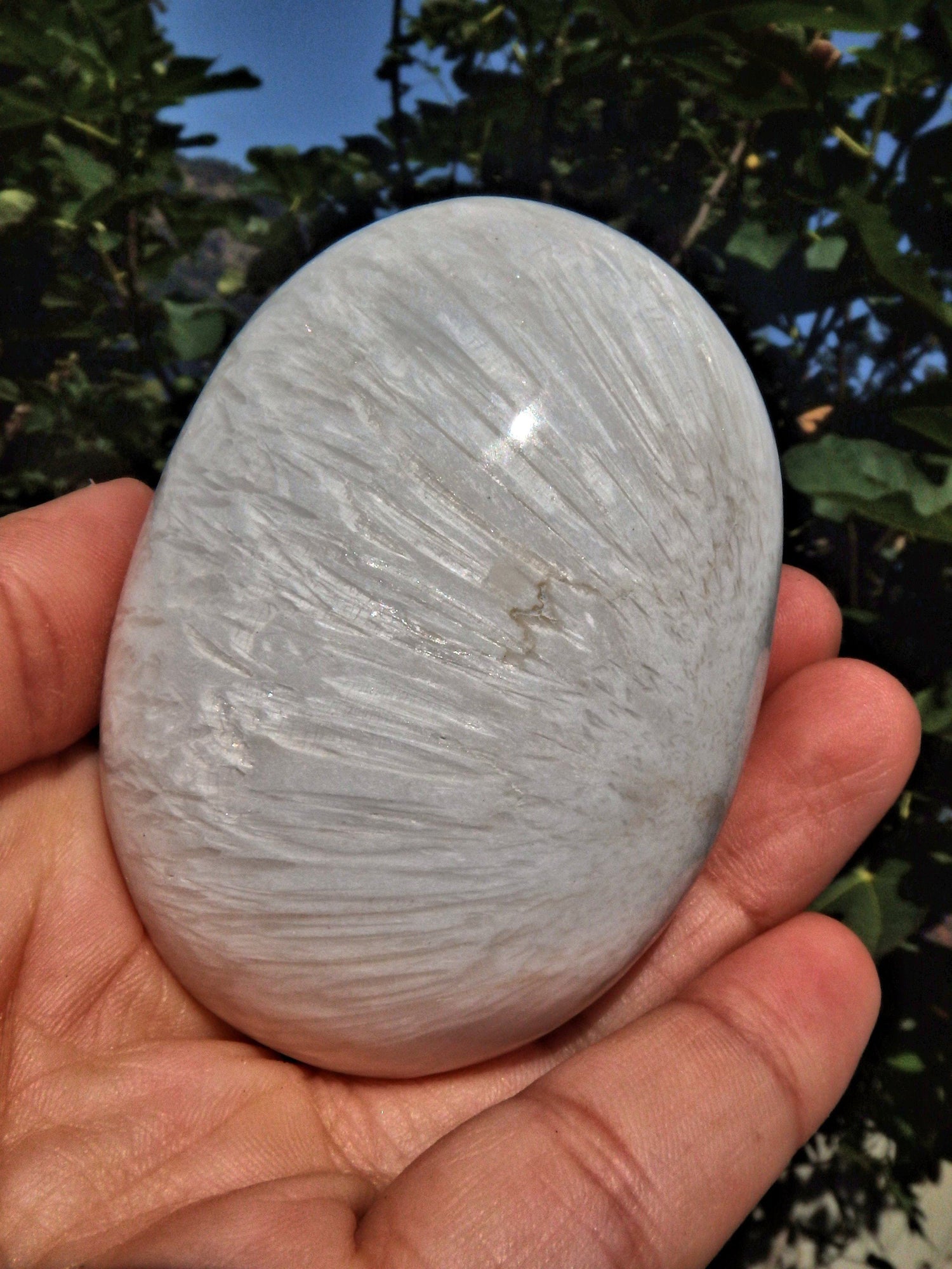  Blooming Flower Pattern Scolecite Polished Specimen 1
