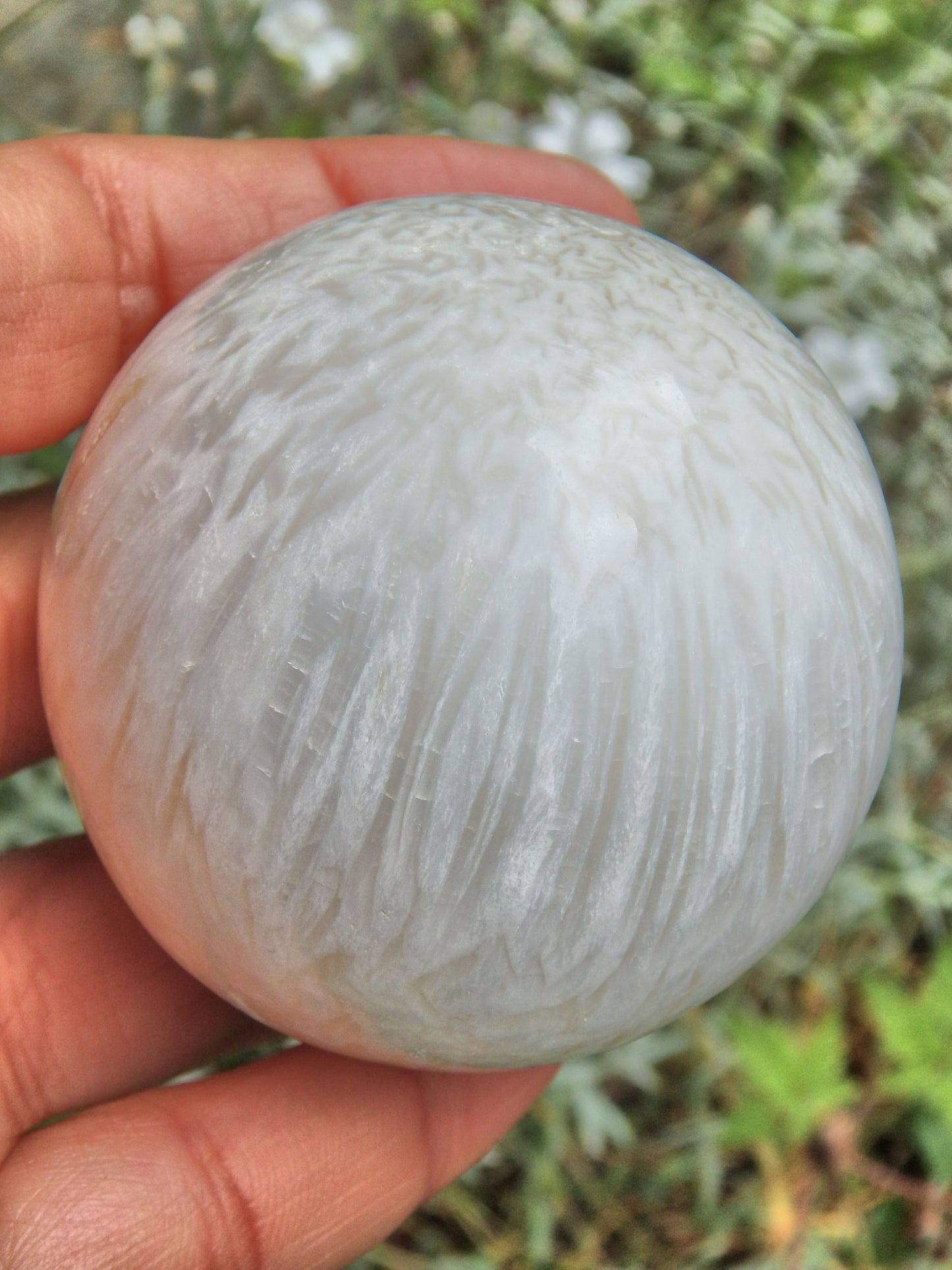 Silky Blooming Flower Patterns Creamy White Scolecite Sphere From India - Metiz Tier Price