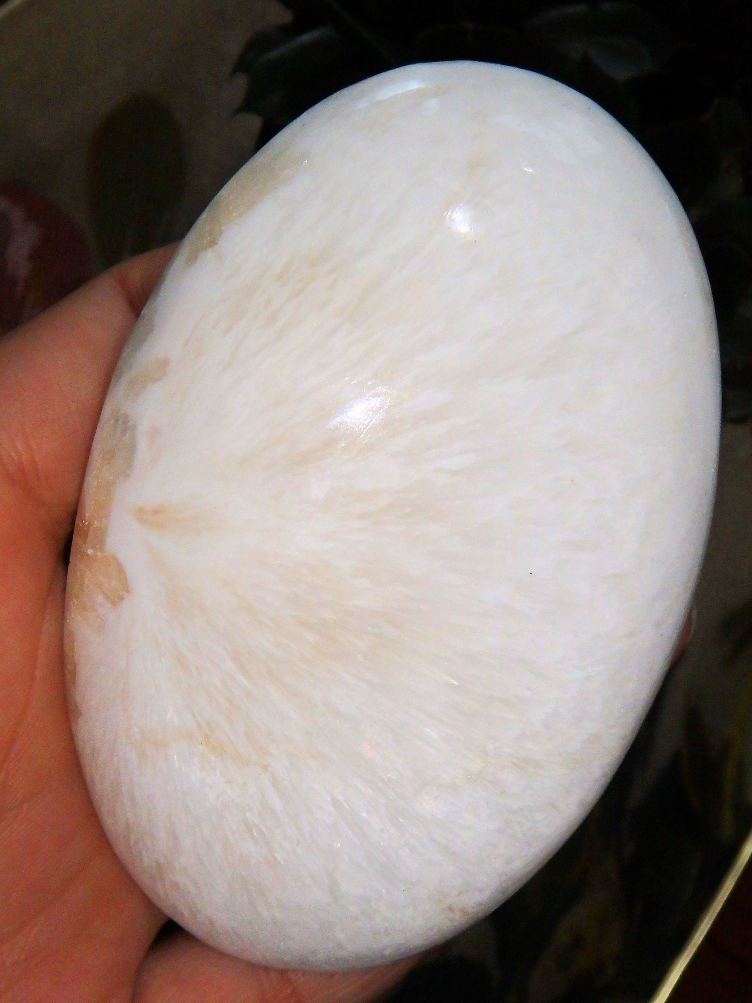  Blooming Flower Pattern Polished Scolecite Oval Palm Stone From India
