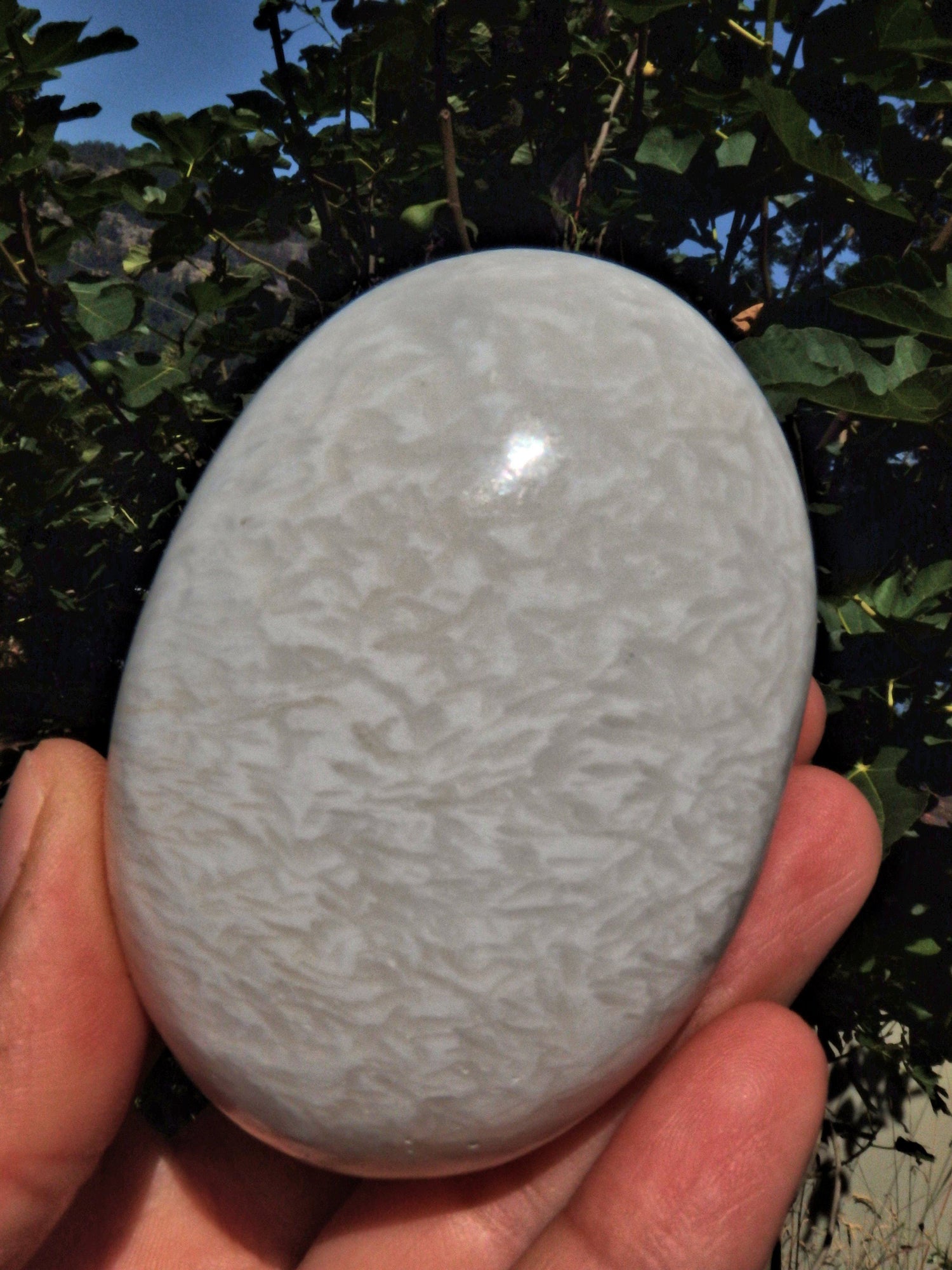 Blooming Flower Pattern Scolecite Polished Specimen 1