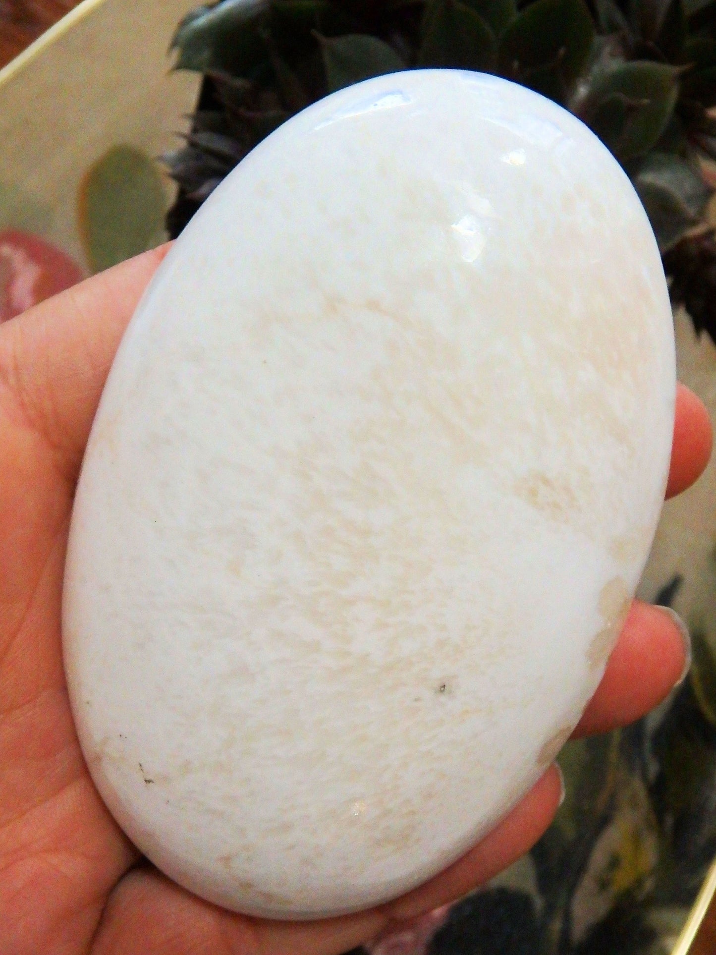  Blooming Flower Pattern Polished Scolecite Oval Palm Stone From India