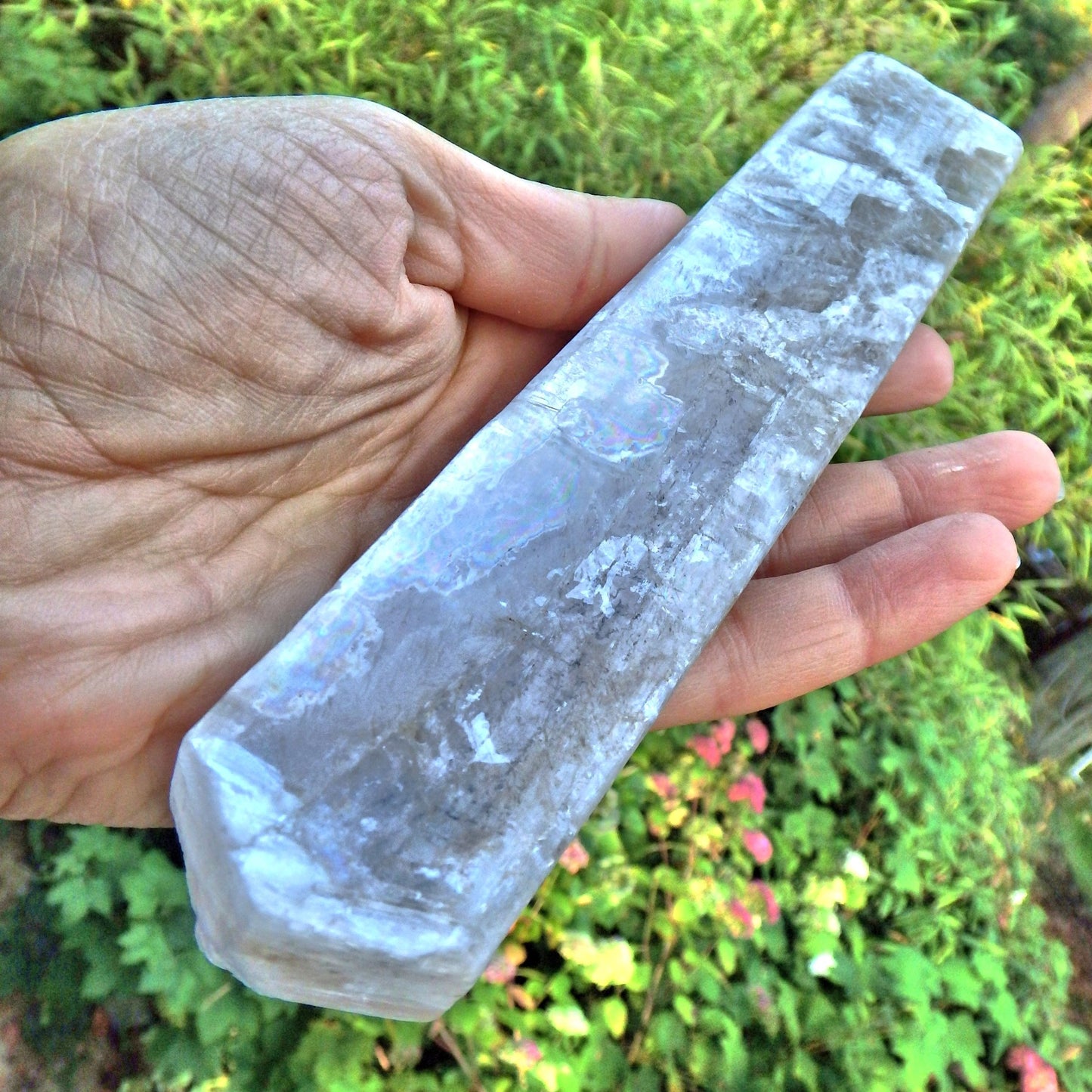 Long & Large Optical Sheen Clear Selenite Wand From Mexico~ Perfect for Healing! - Earth Family Crystals