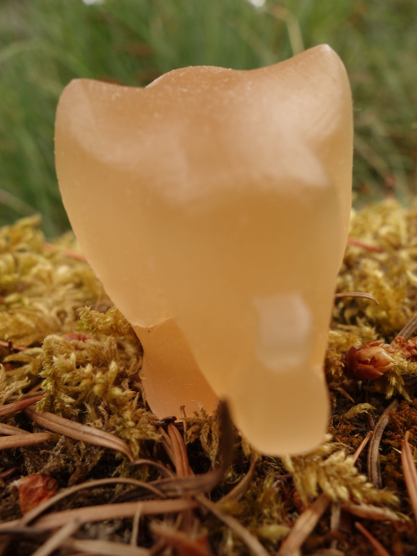  Adorable Orange Selenite Elephant Carving