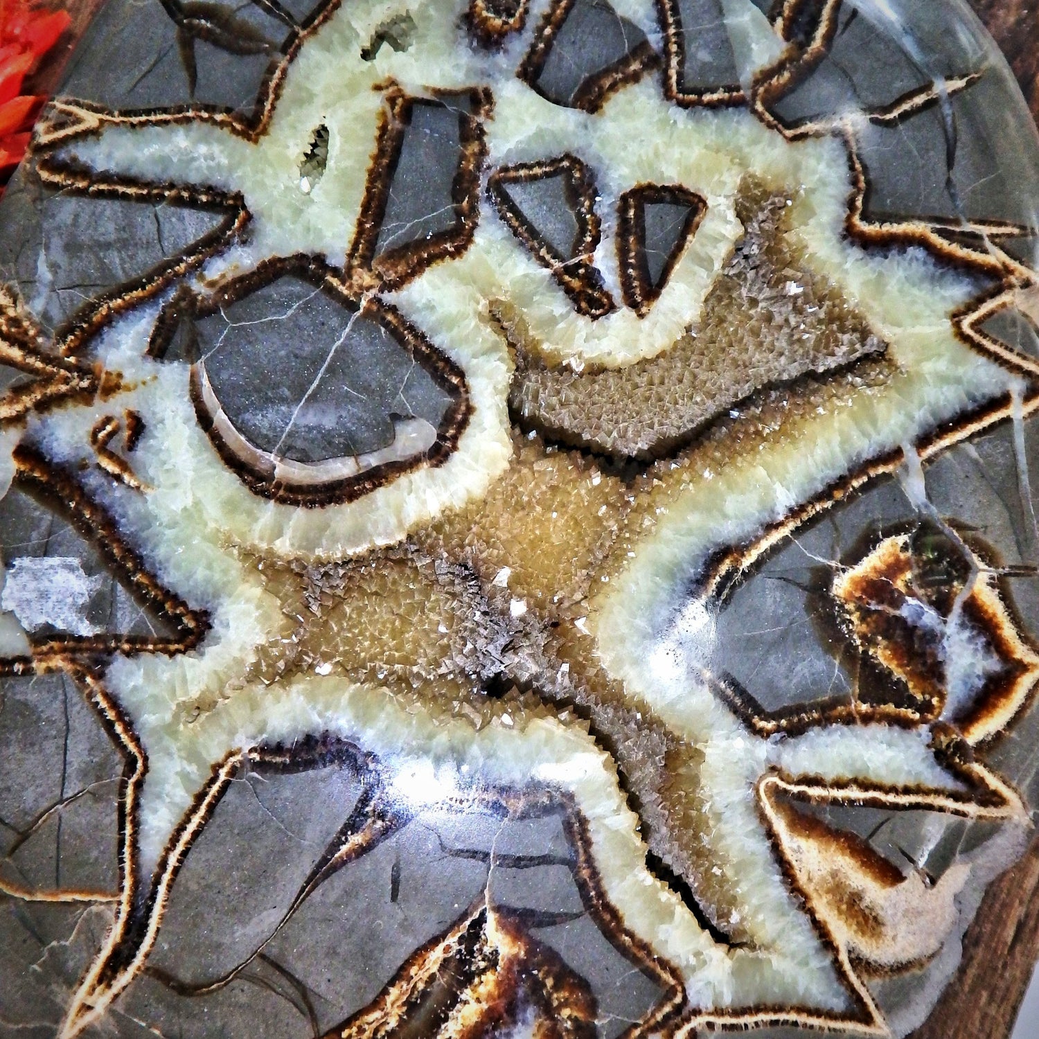 Incredible Large Druzy Cave Geode Included Septarian Display Specimen from Utah Partially Polished - Earth Family Crystals