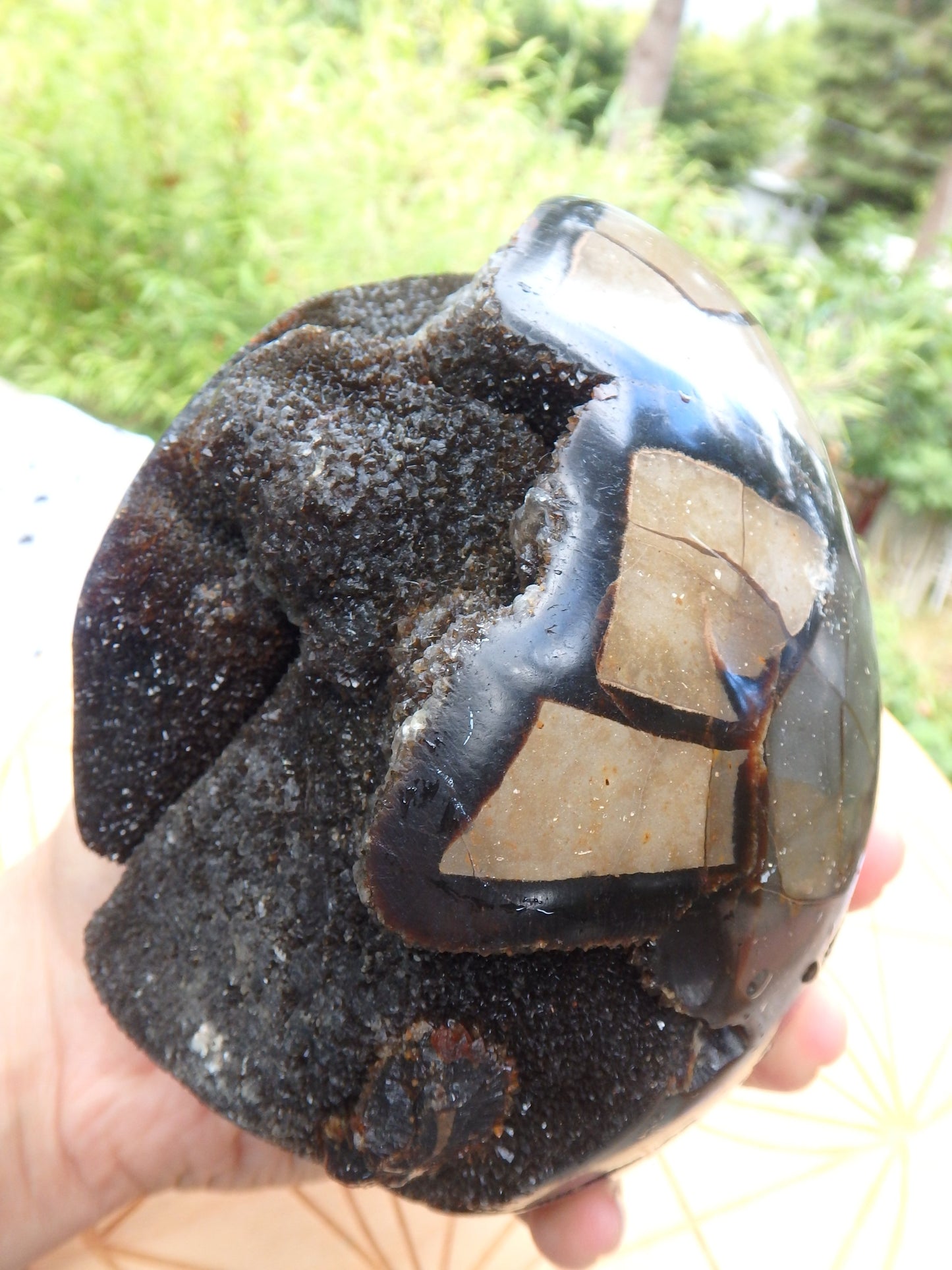 Jumbo Dragon Egg Septarian Specimen With Druzy Geode Cave - Metiz Tier Price