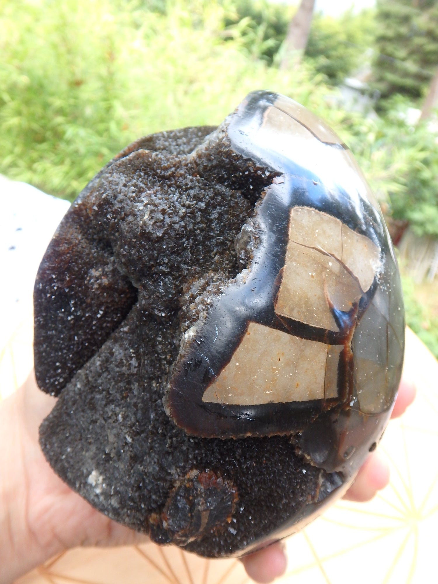 Jumbo Dragon Egg Septarian Specimen With Druzy Geode Cave - Metiz Tier Price