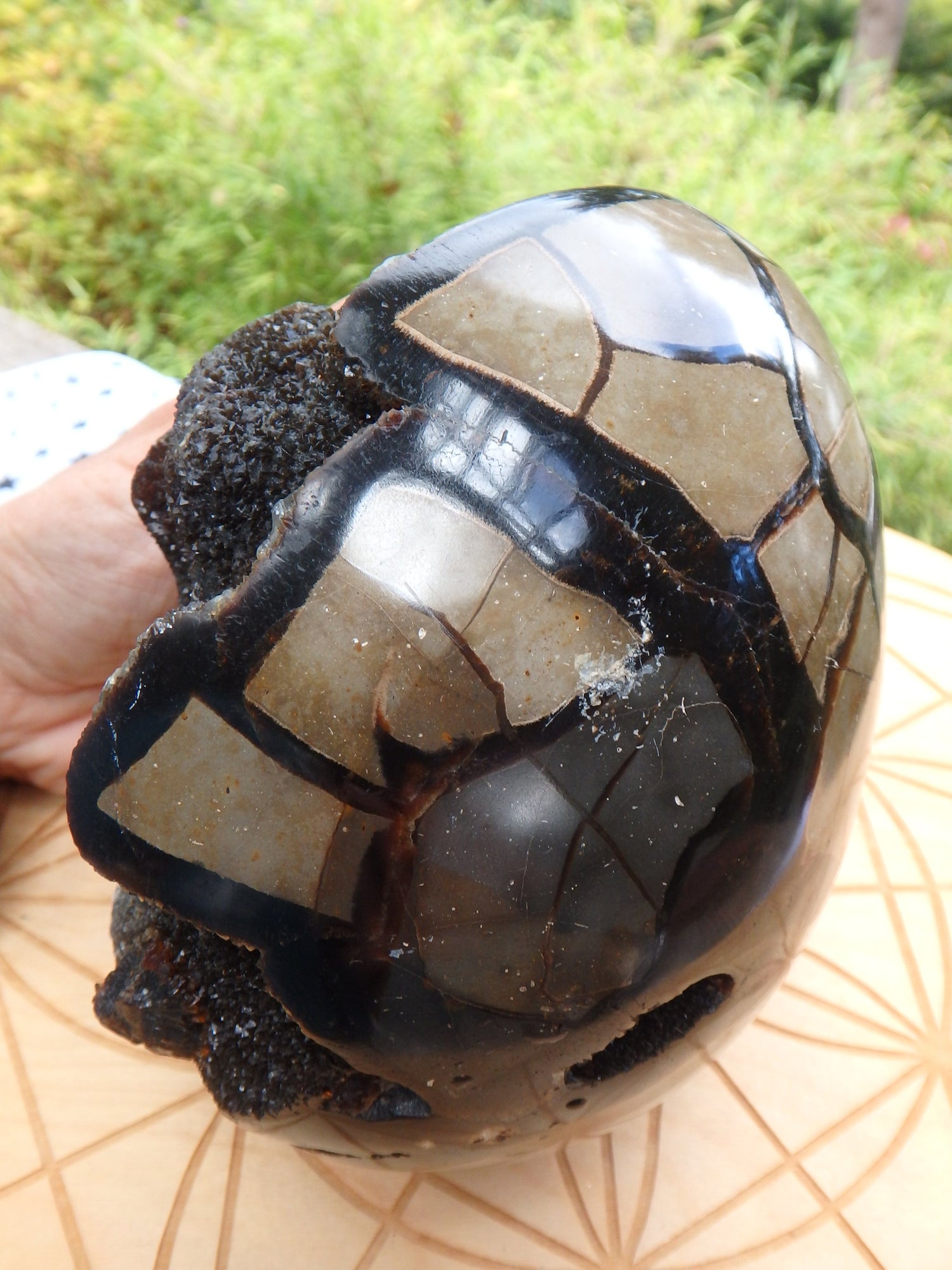 Jumbo Dragon Egg Septarian Specimen With Druzy Geode Cave - Metiz Tier Price
