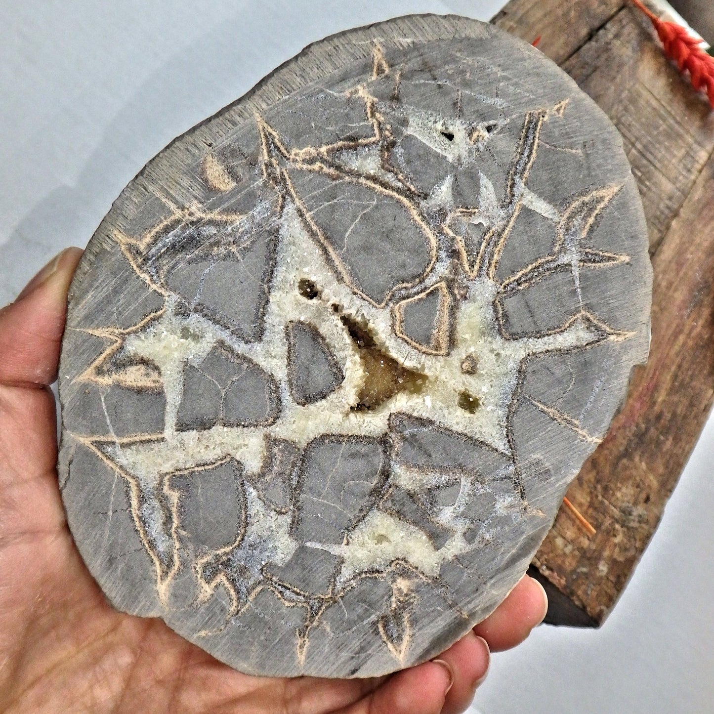 Incredible Large Druzy Cave Geode Included Septarian Display Specimen from Utah Partially Polished - Earth Family Crystals
