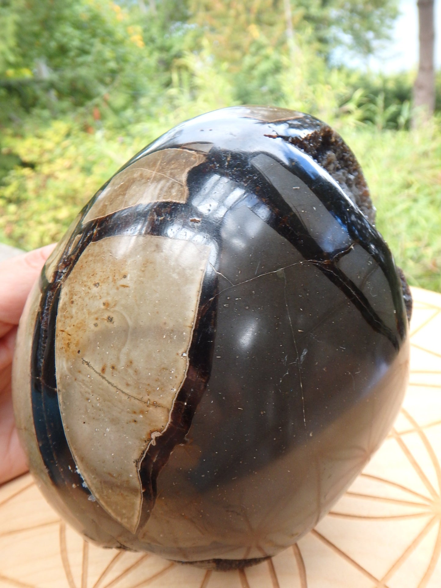 Jumbo Dragon Egg Septarian Specimen With Druzy Geode Cave - Metiz Tier Price