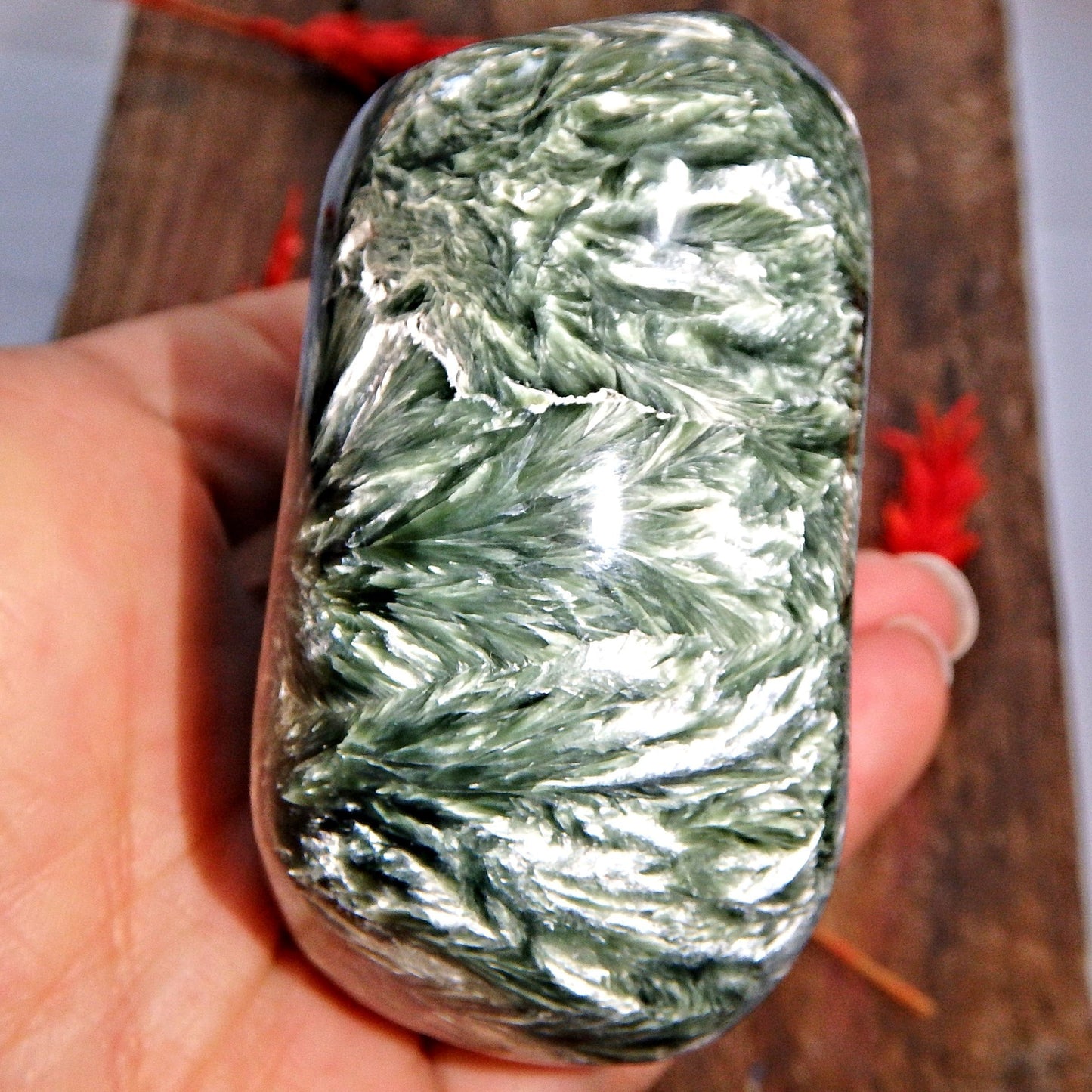 Incredible Large Silvery Angel Wings & Deep Forest Green Seraphinite Specimen - Earth Family Crystals