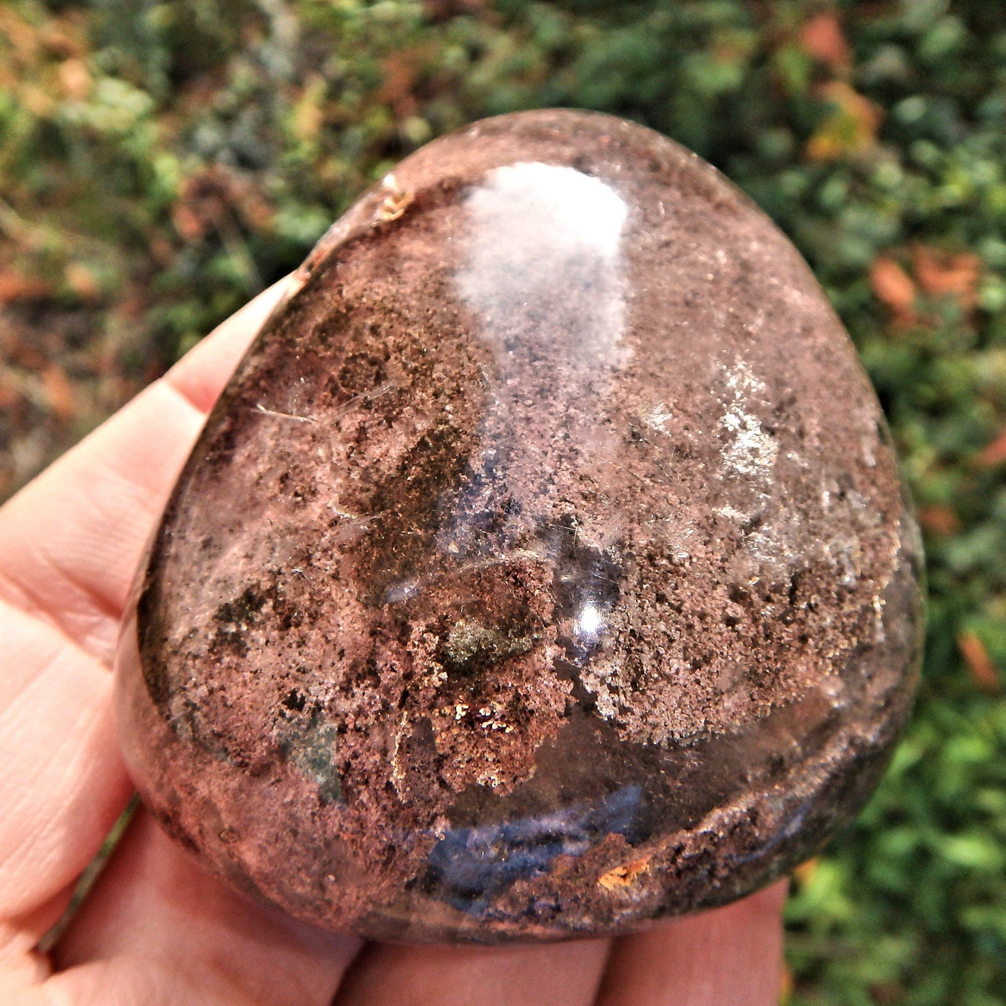  Chocolate Brown Inclusions Shamanic Dream Stone Seer Quartz Partially Polished From Brazil
