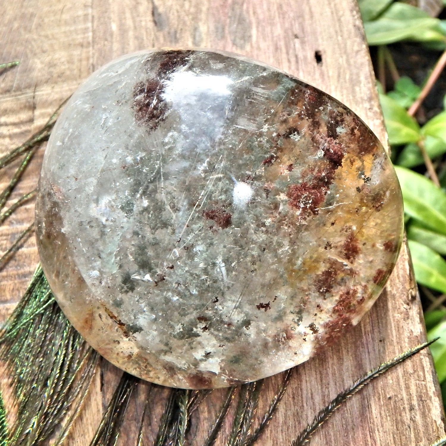 Needles of Rutile & Various Inclusions Shamanic Dream Stone Seer Quartz Partially Polished From Brazil - Earth Family Crystals