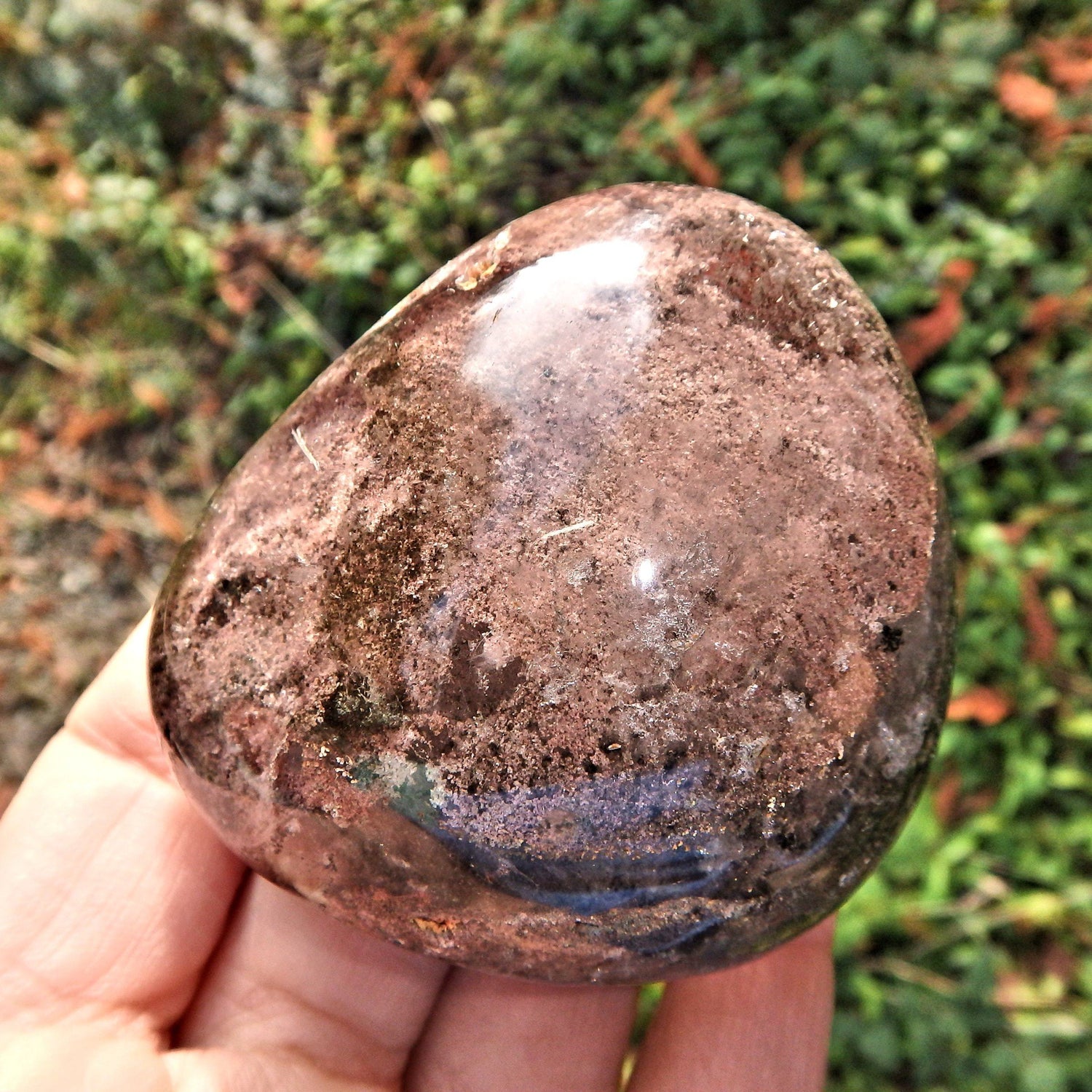  Chocolate Brown Inclusions Shamanic Dream Stone Seer Quartz Partially Polished From Brazil