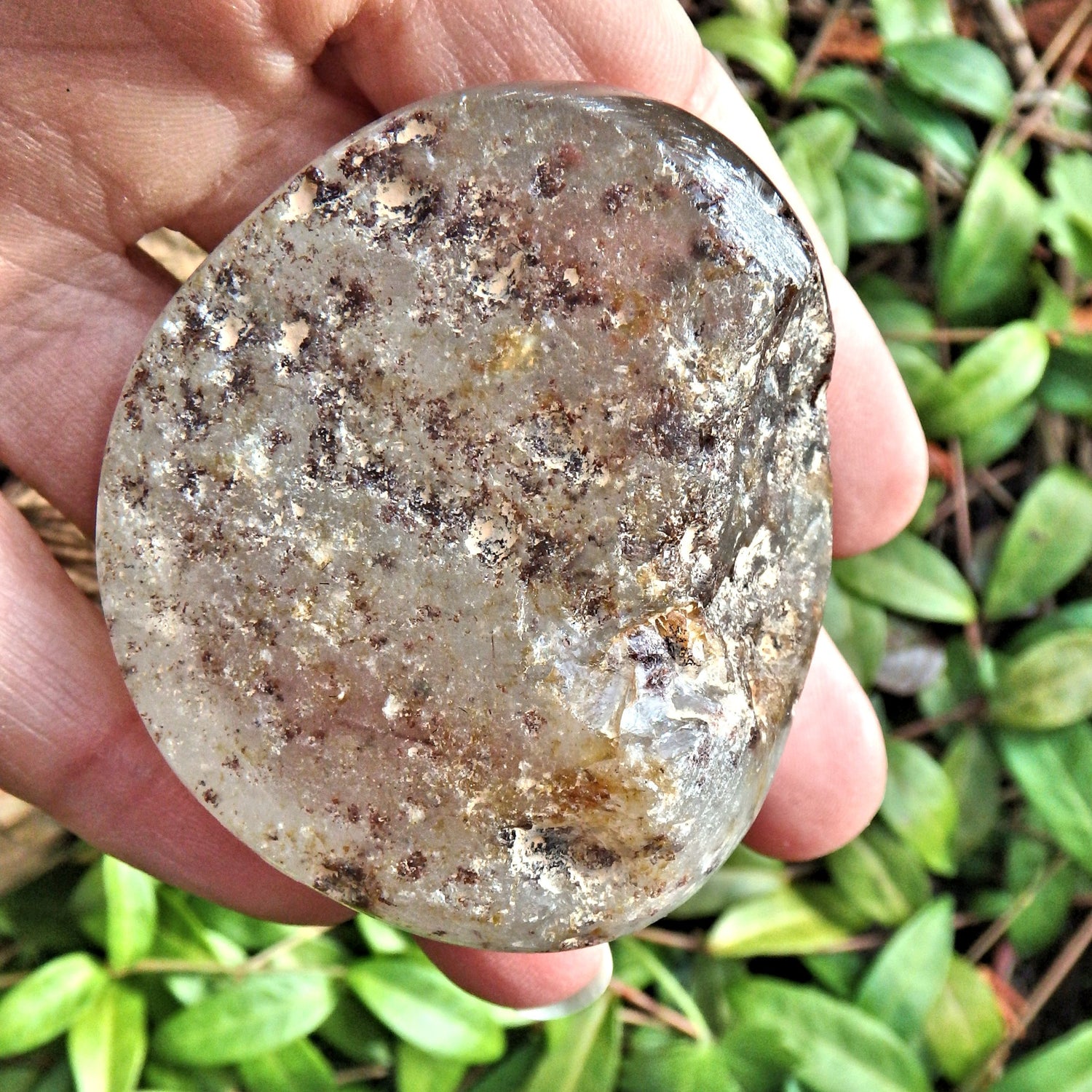 Needles of Rutile & Various Inclusions Shamanic Dream Stone Seer Quartz Partially Polished From Brazil - Earth Family Crystals