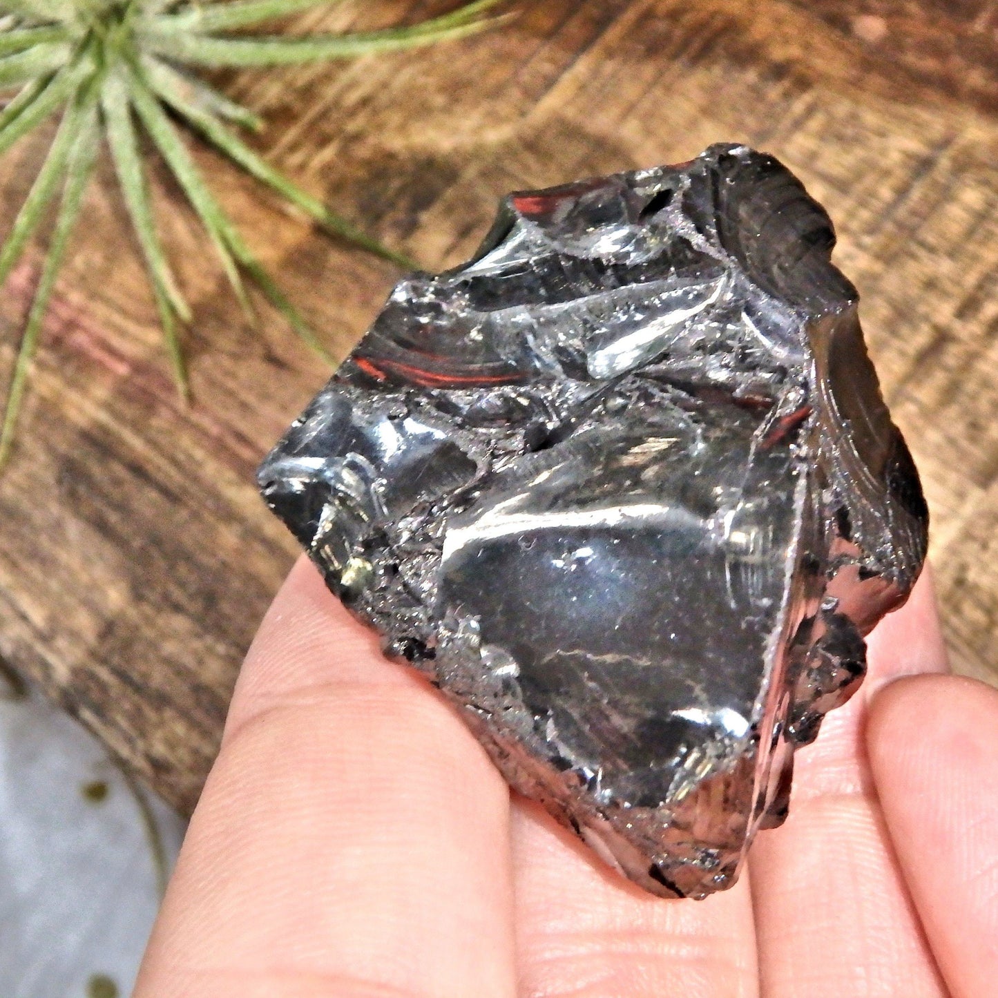  Chunky Handheld Elite (Noble) Shungite Natural Specimen From Russia 2
