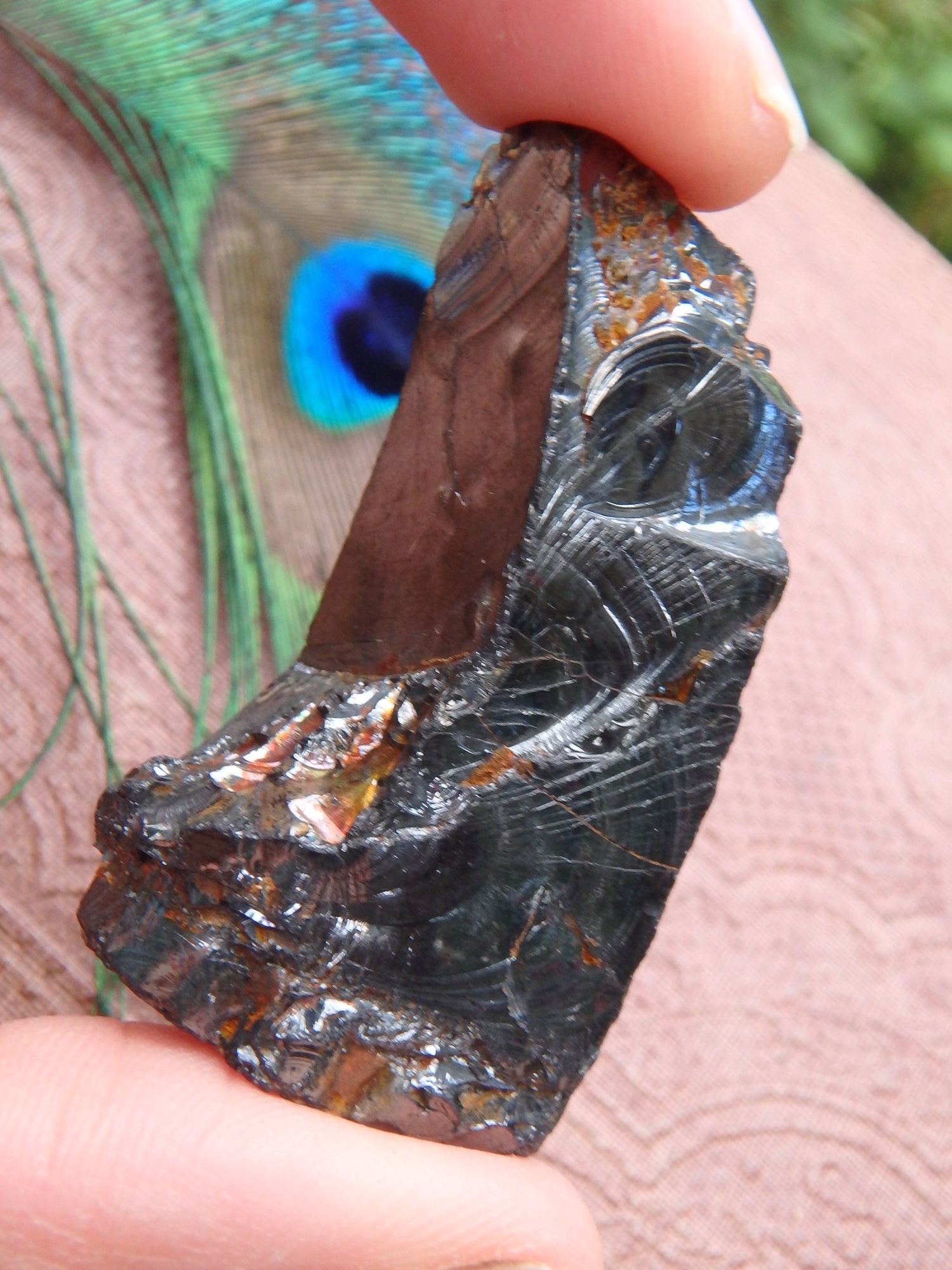 Shiny Noble Elite Shungite Specimen From Russia 1 - Metiz Tier Price