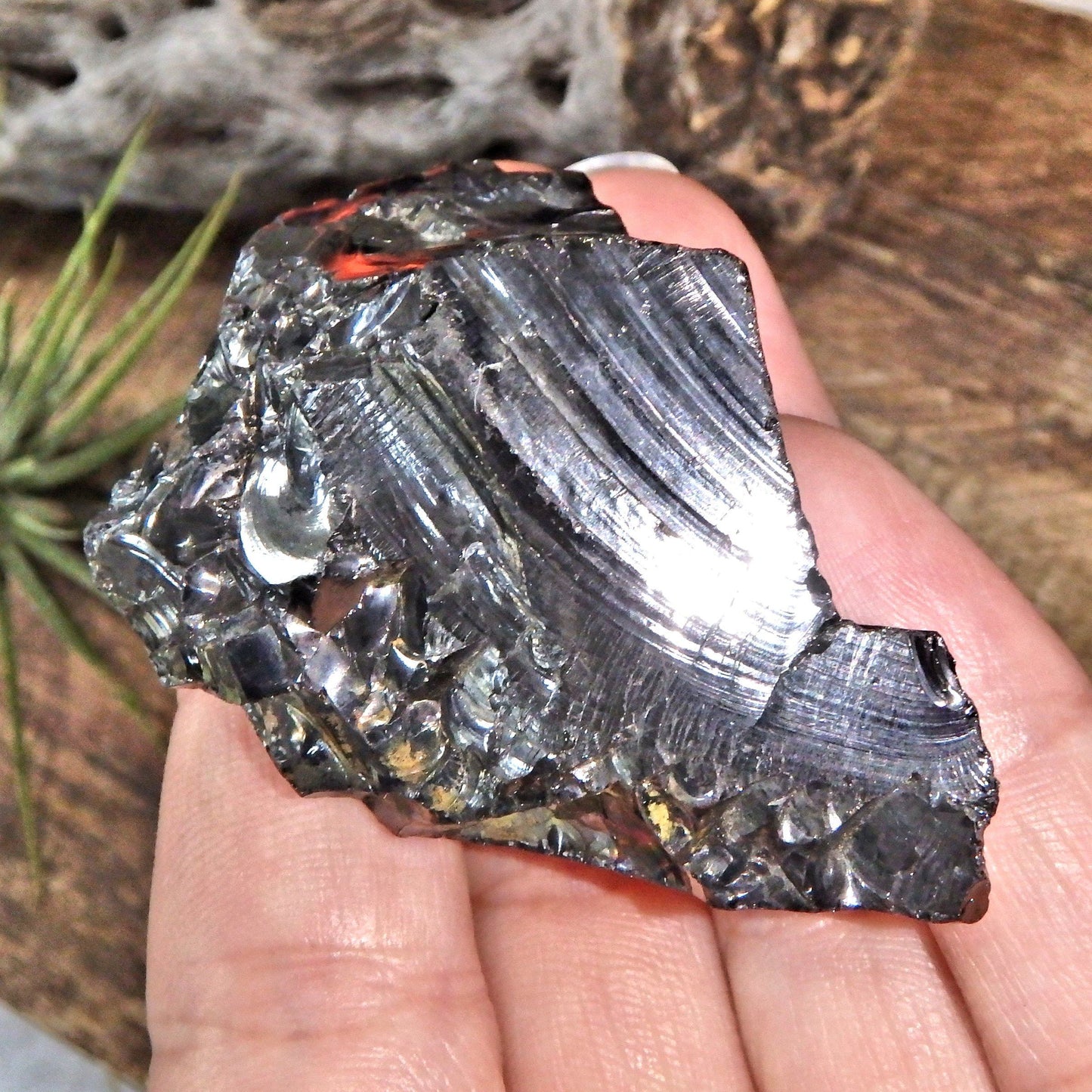  Chunky Handheld Elite (Noble) Shungite Natural Specimen From Russia 1