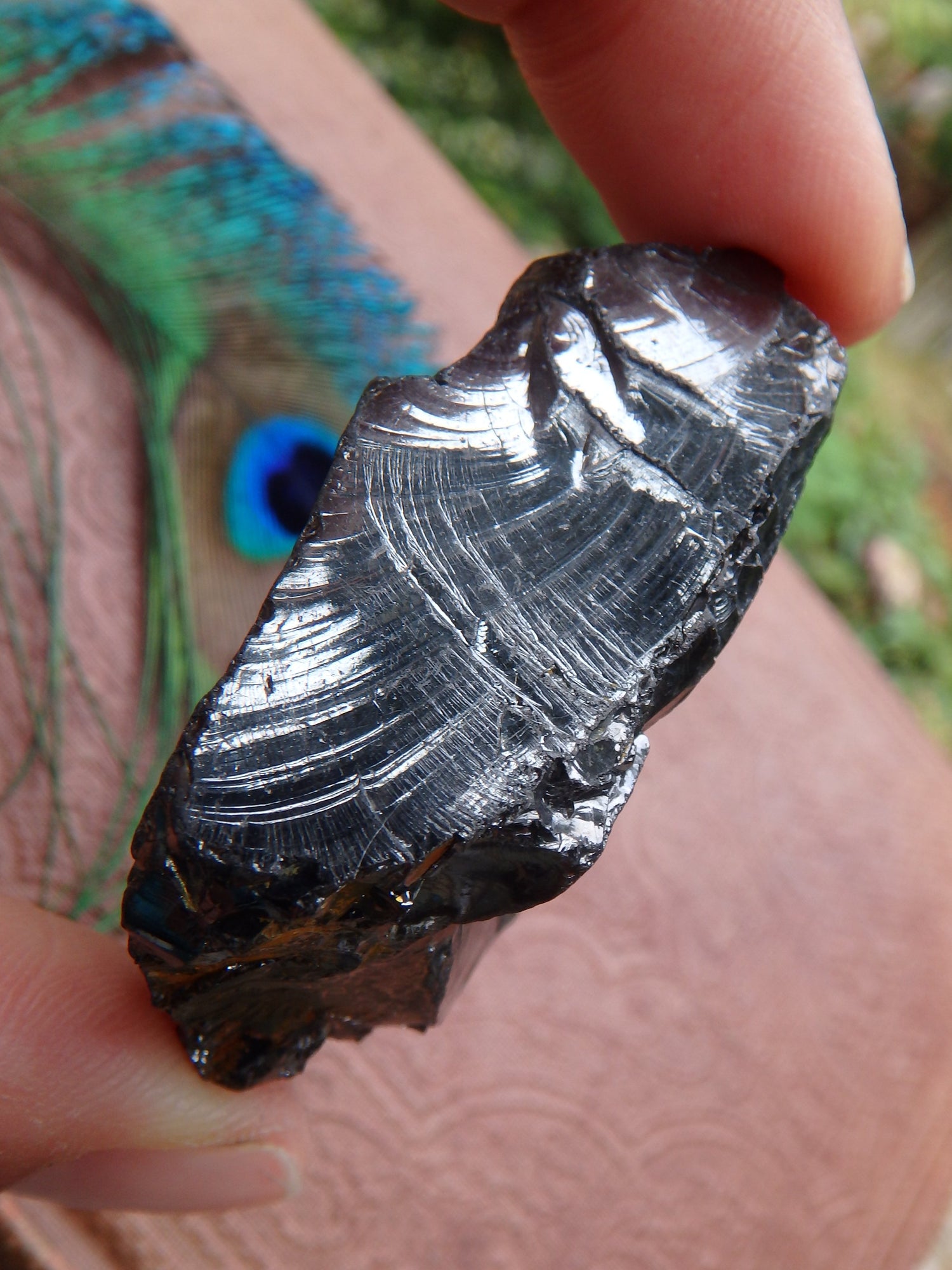Natural Shiny  Noble Elite Shungite Specimen From Russia 1 - Earth Family Crystals