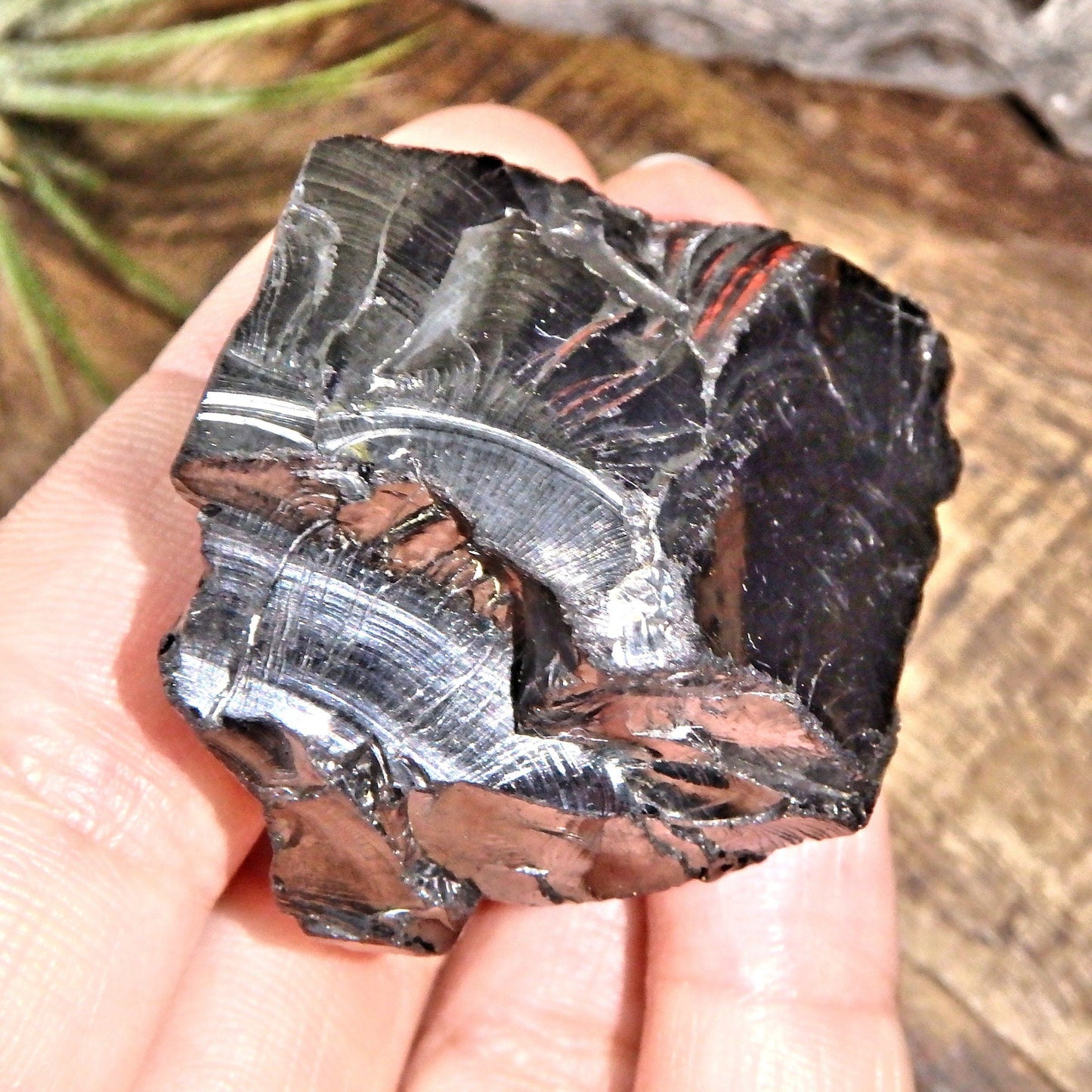  Chunky Handheld Elite (Noble) Shungite Natural Specimen From Russia 2