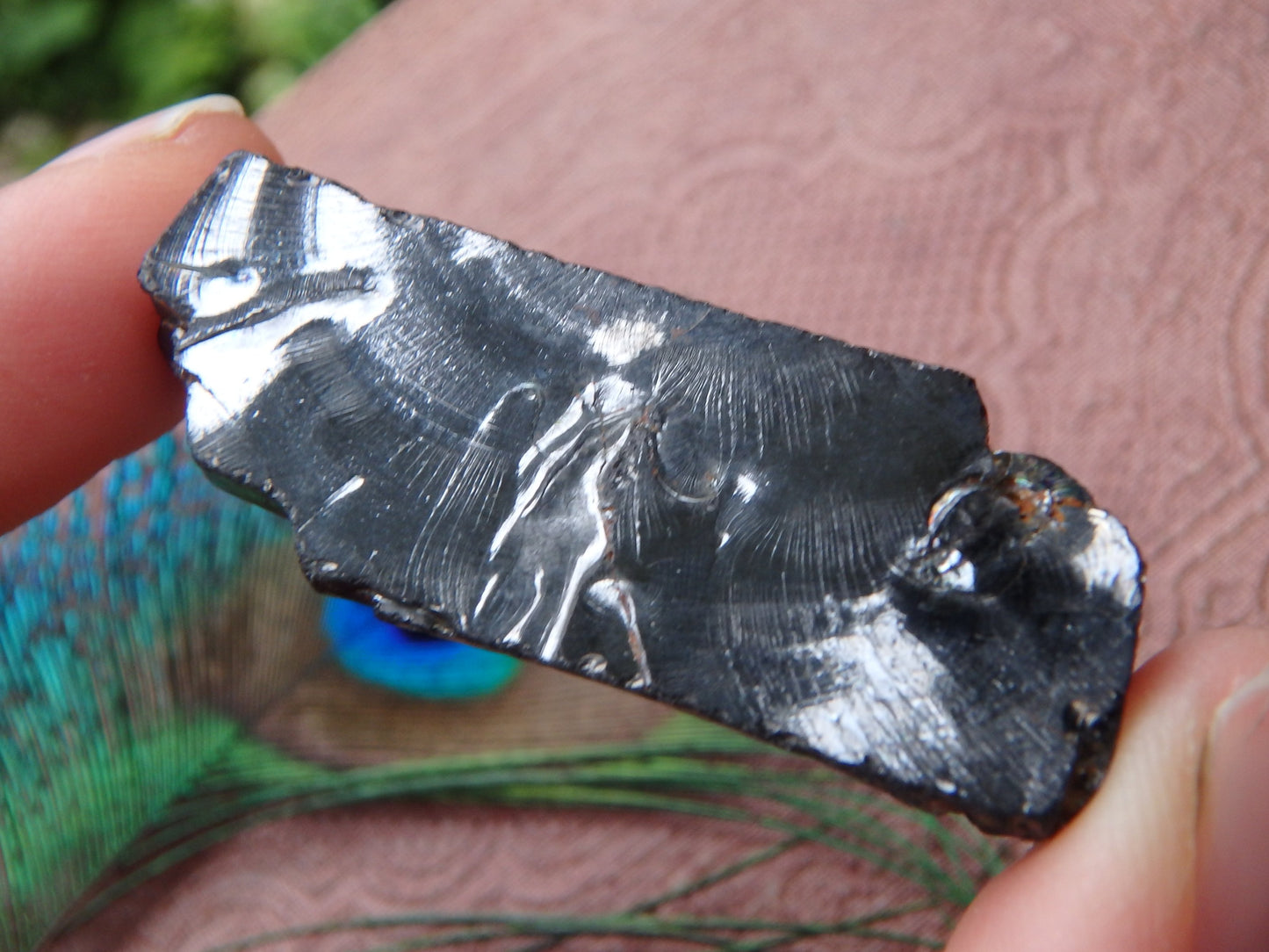 Shiny Noble Elite Shungite Specimen From Russia 1 - Metiz Tier Price