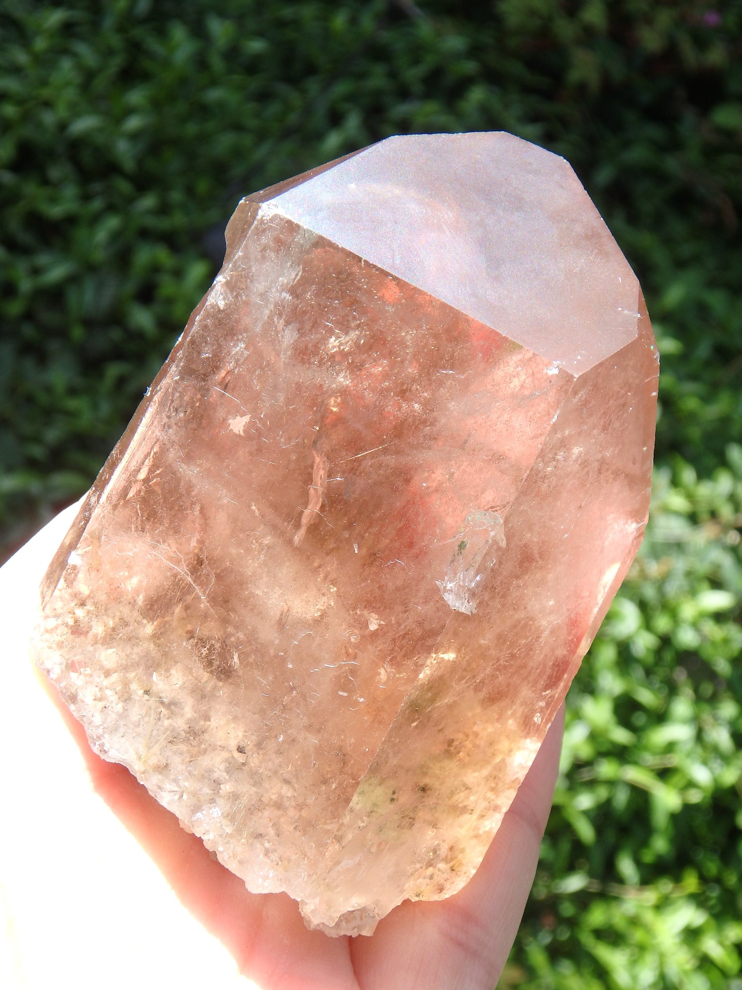 Intricate Multi Point Smoky Quartz Cluster With Golden Rutile Threads - Earth Family Crystals