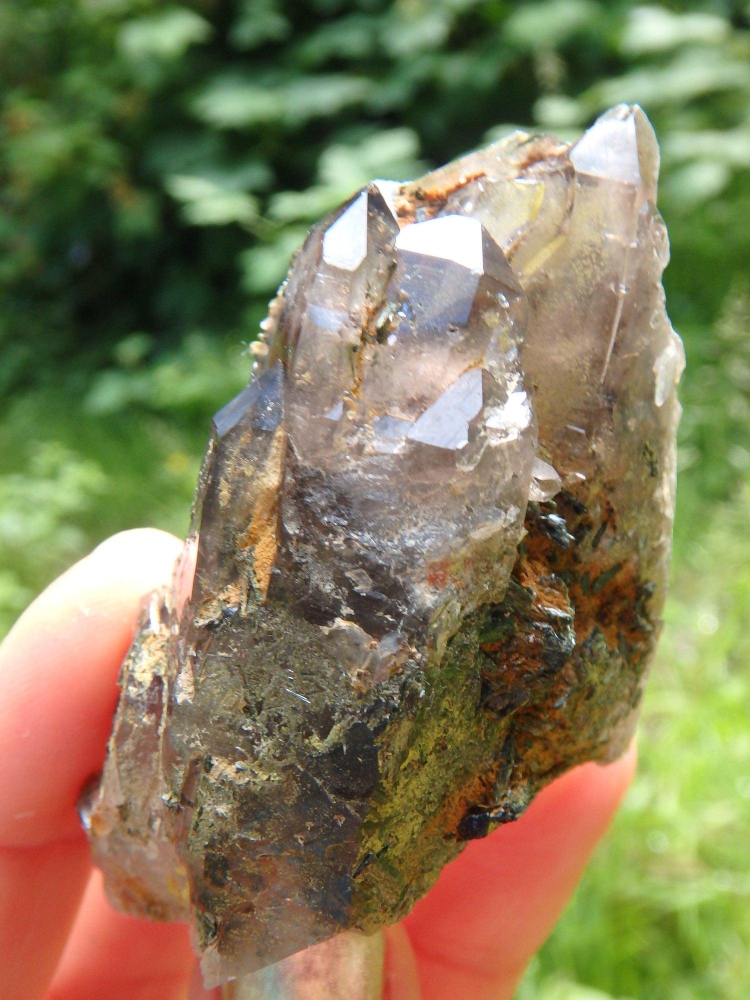  Brilliant Elestial Smoky Quartz With Forest Green Epidote Blades Nestled Inside